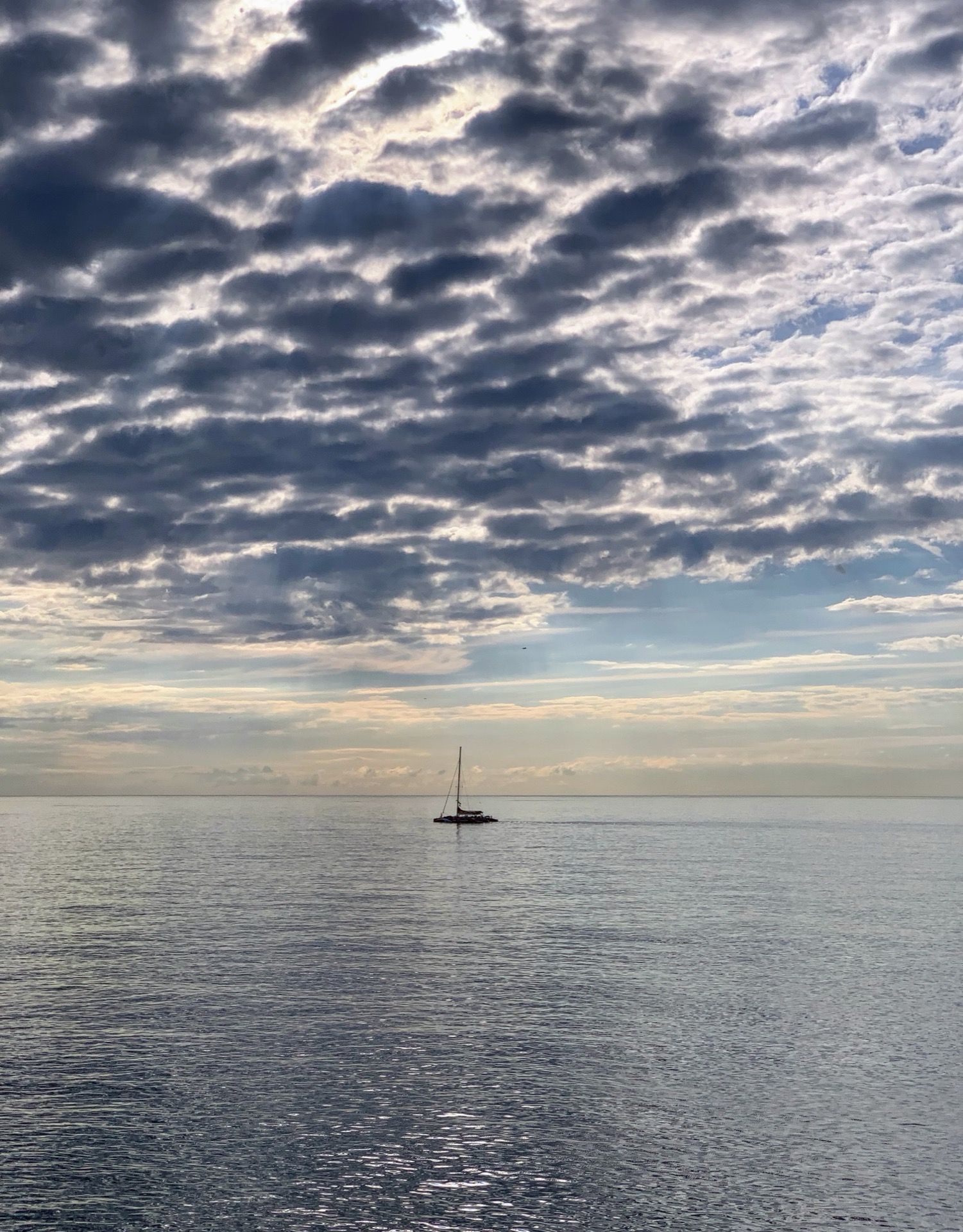 Immagine in evidenza