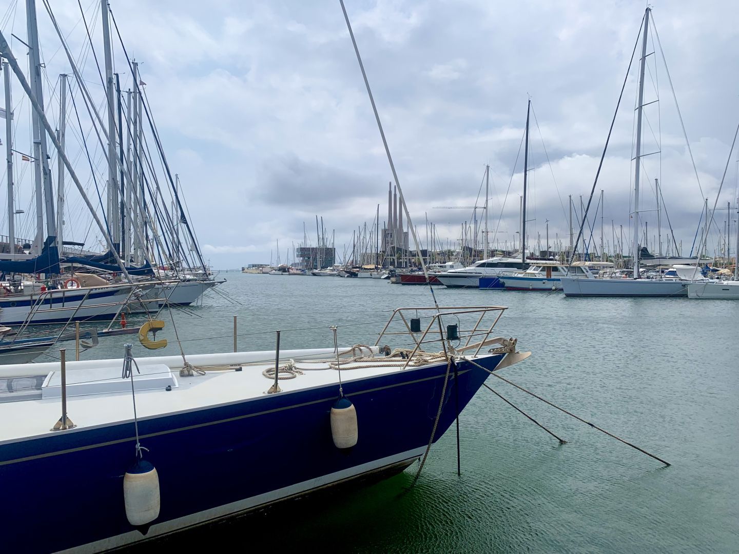 Immagine in evidenza