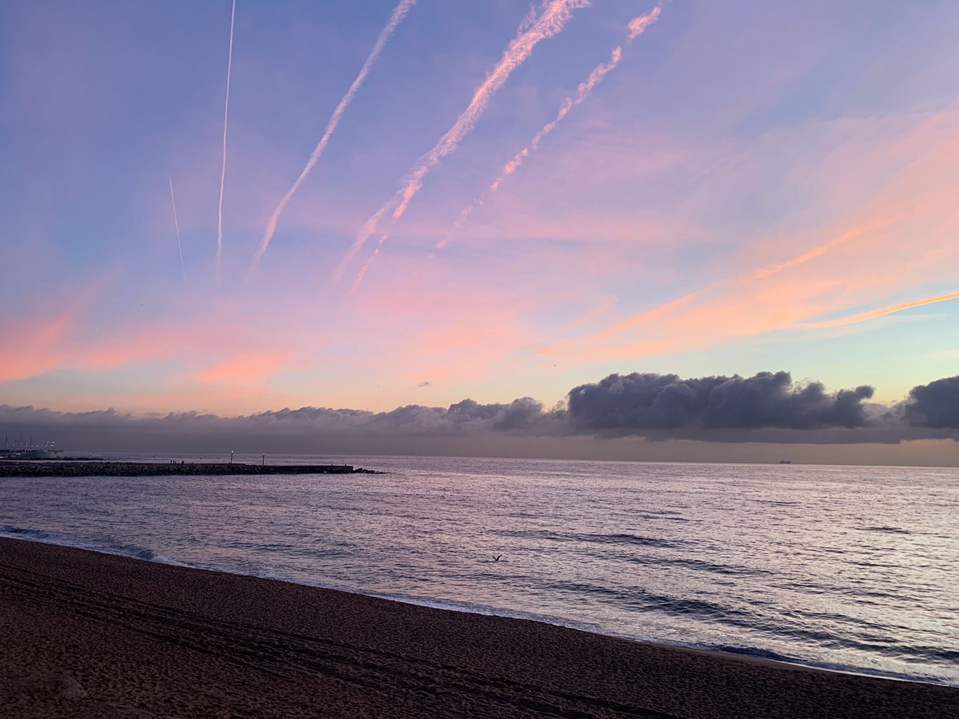 Immagine in evidenza