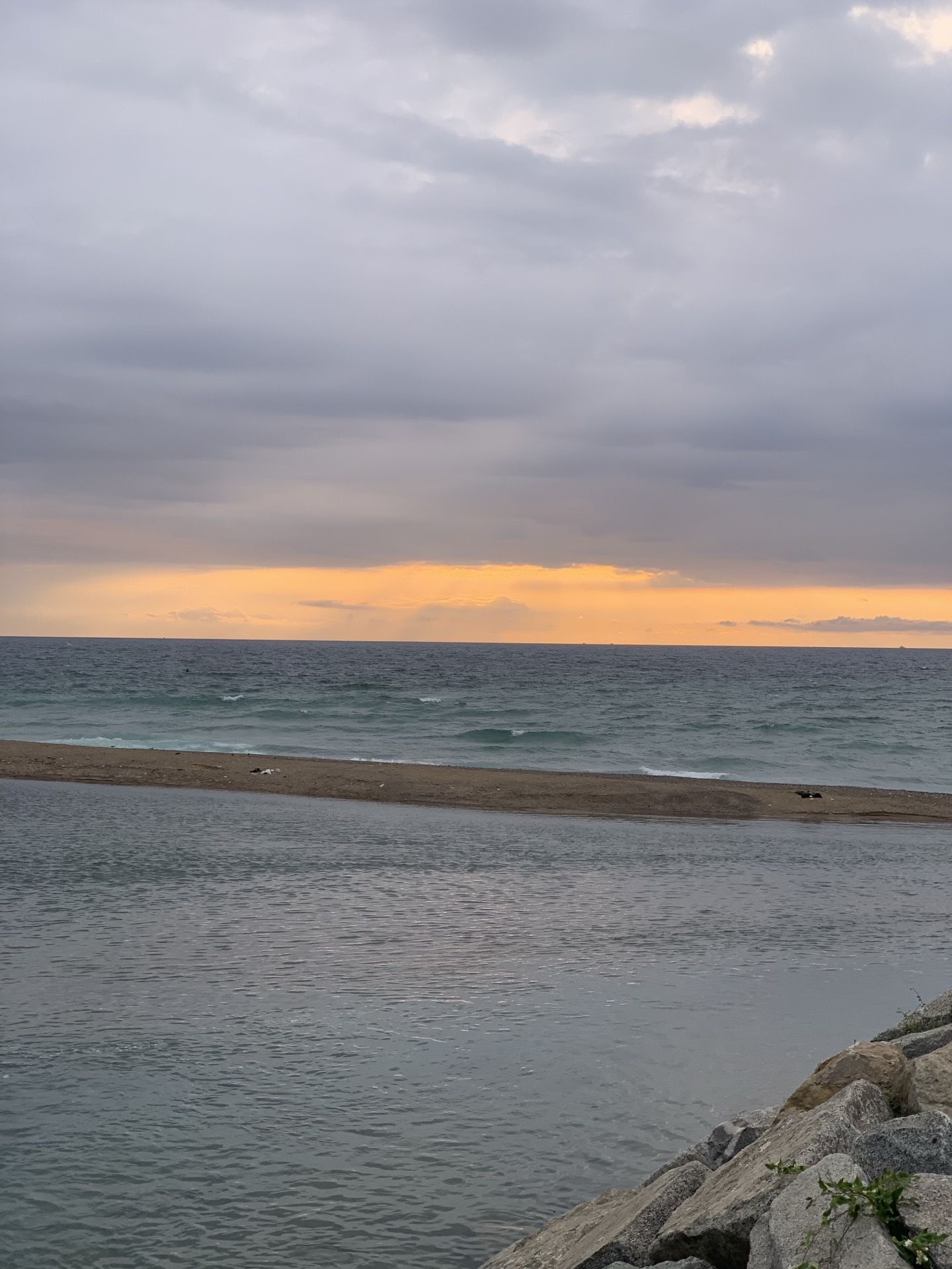 Immagine in evidenza