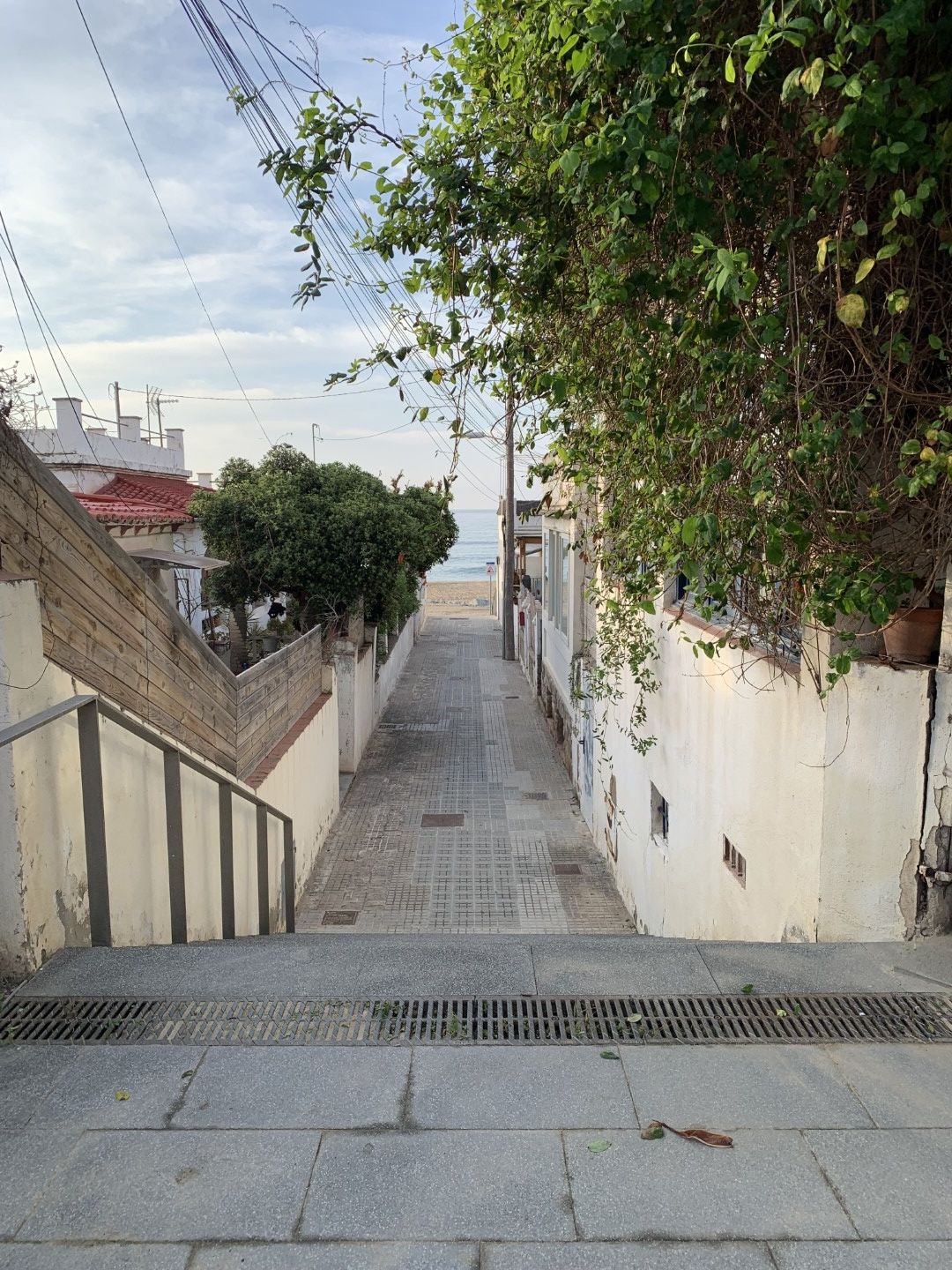 Immagine in evidenza