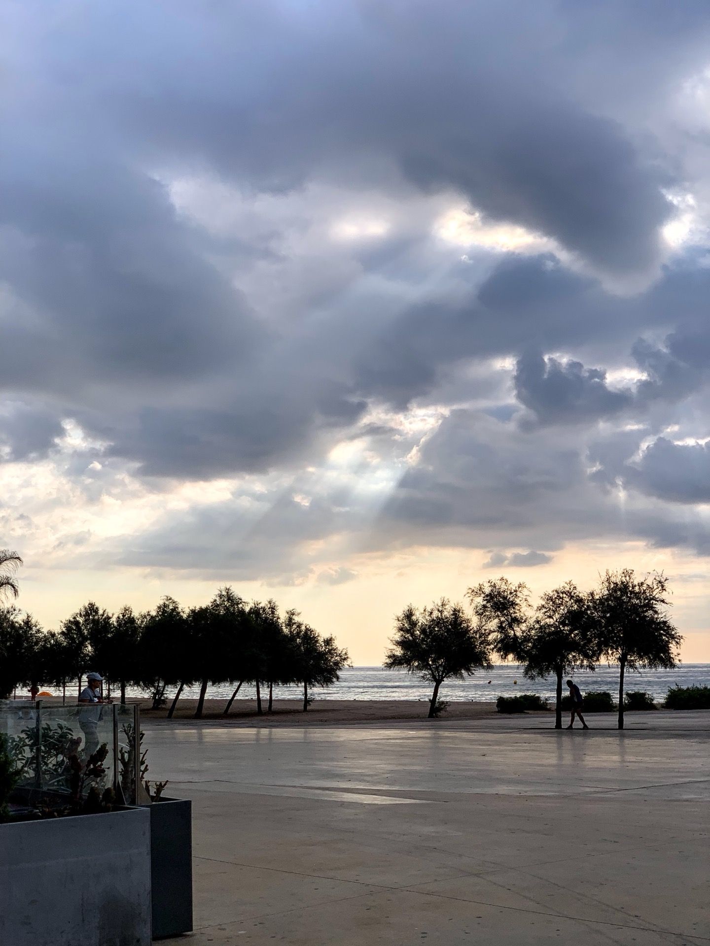 Immagine in evidenza