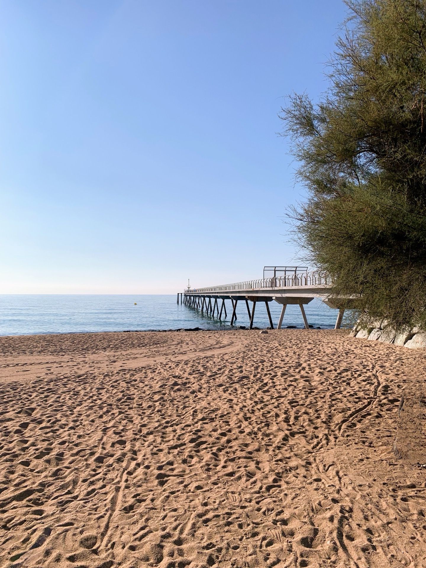 Immagine in evidenza