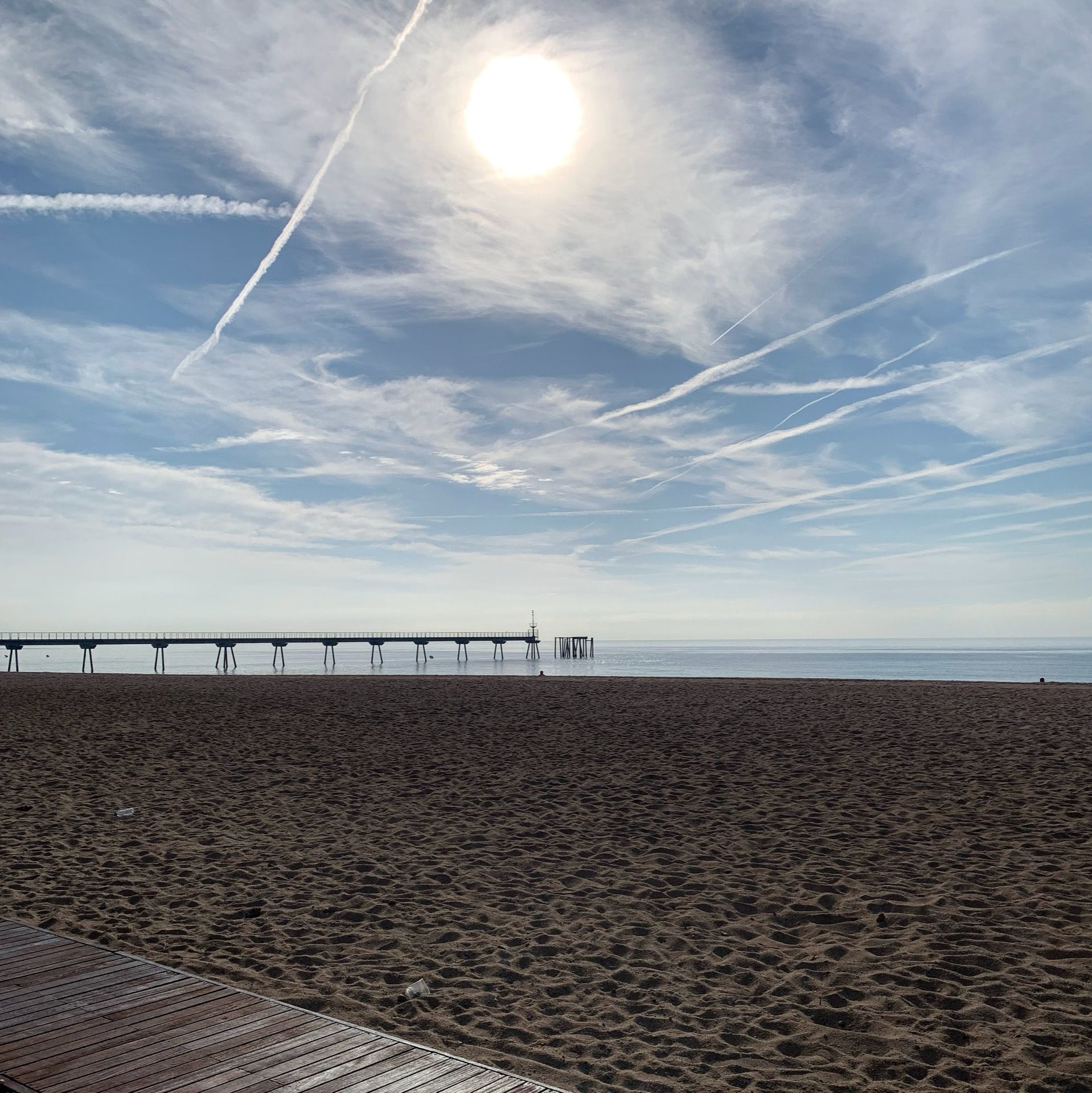 Immagine in evidenza