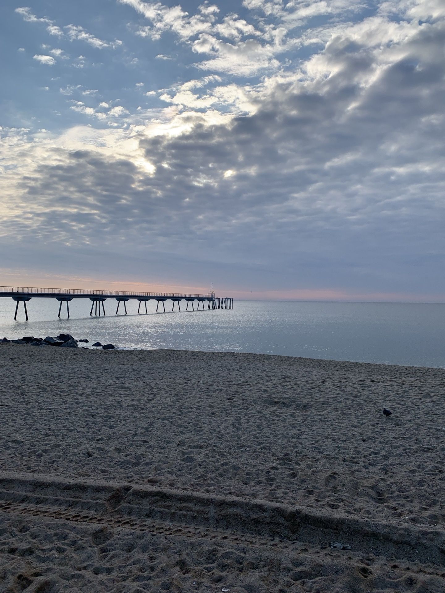 Immagine in evidenza