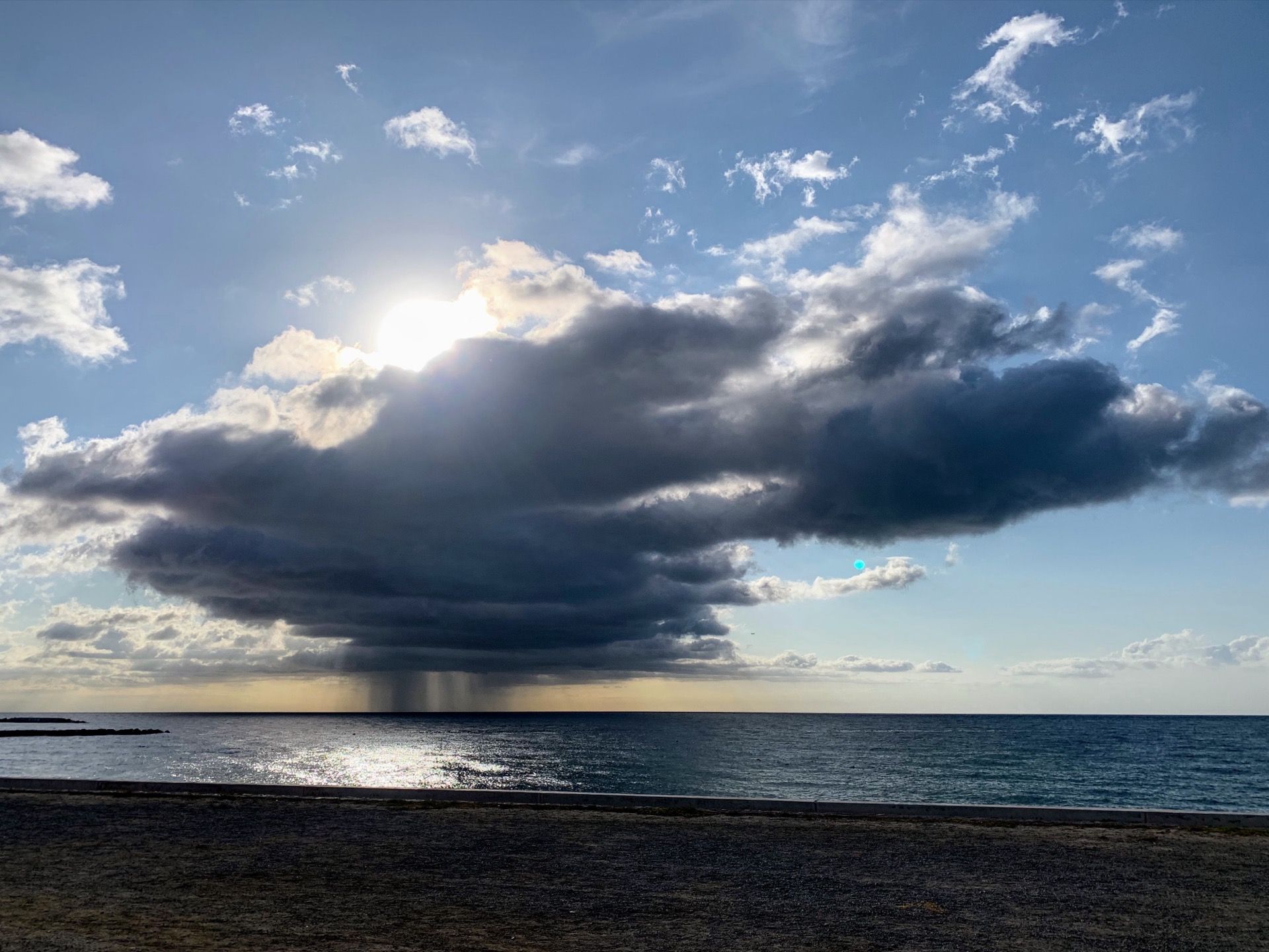 Immagine in evidenza