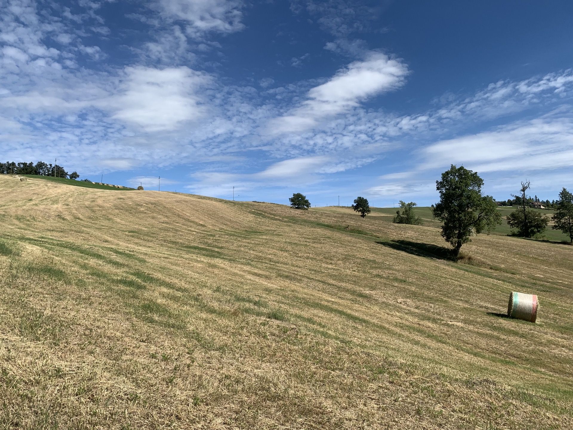 Immagine in evidenza