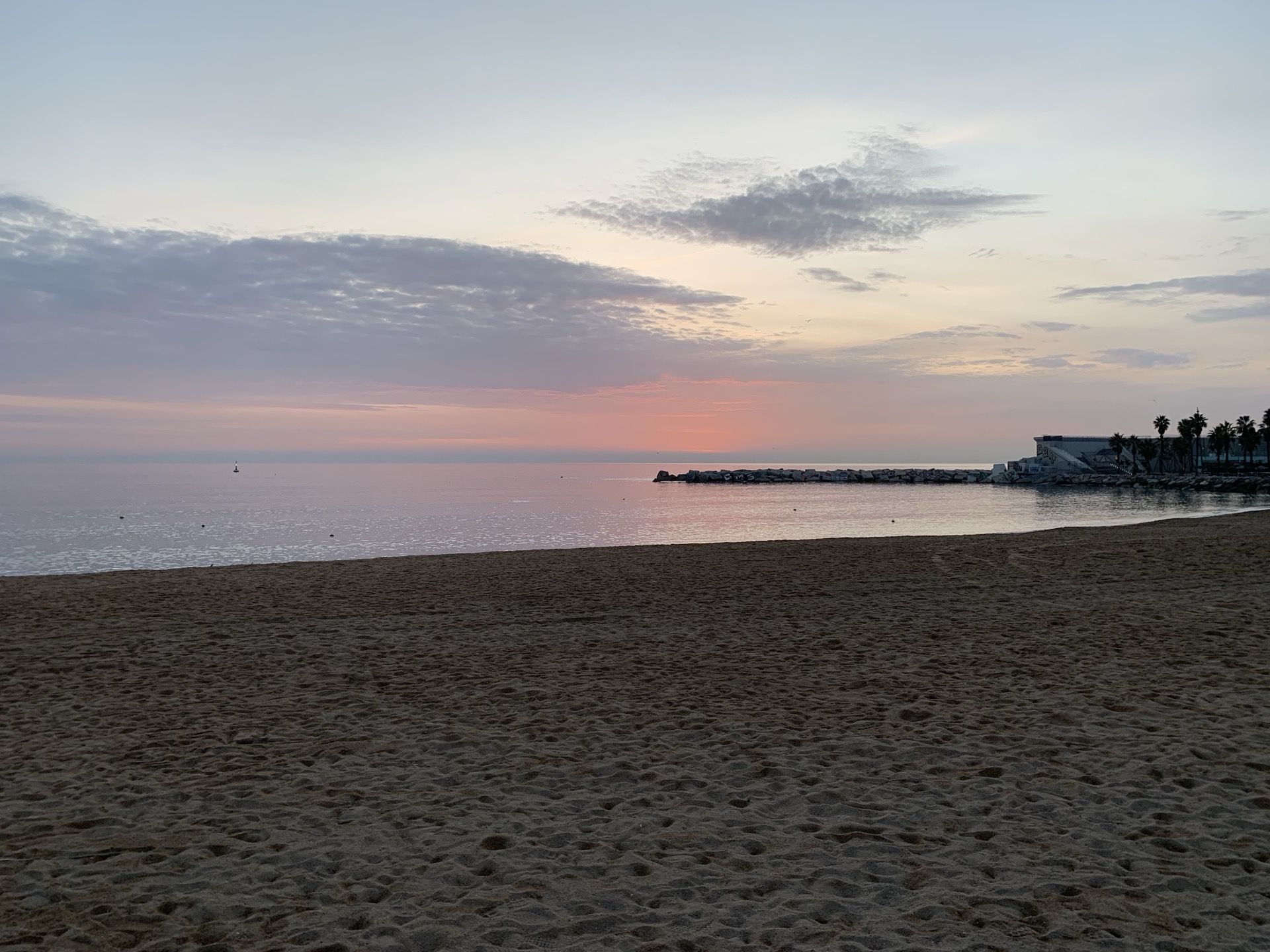 Immagine in evidenza