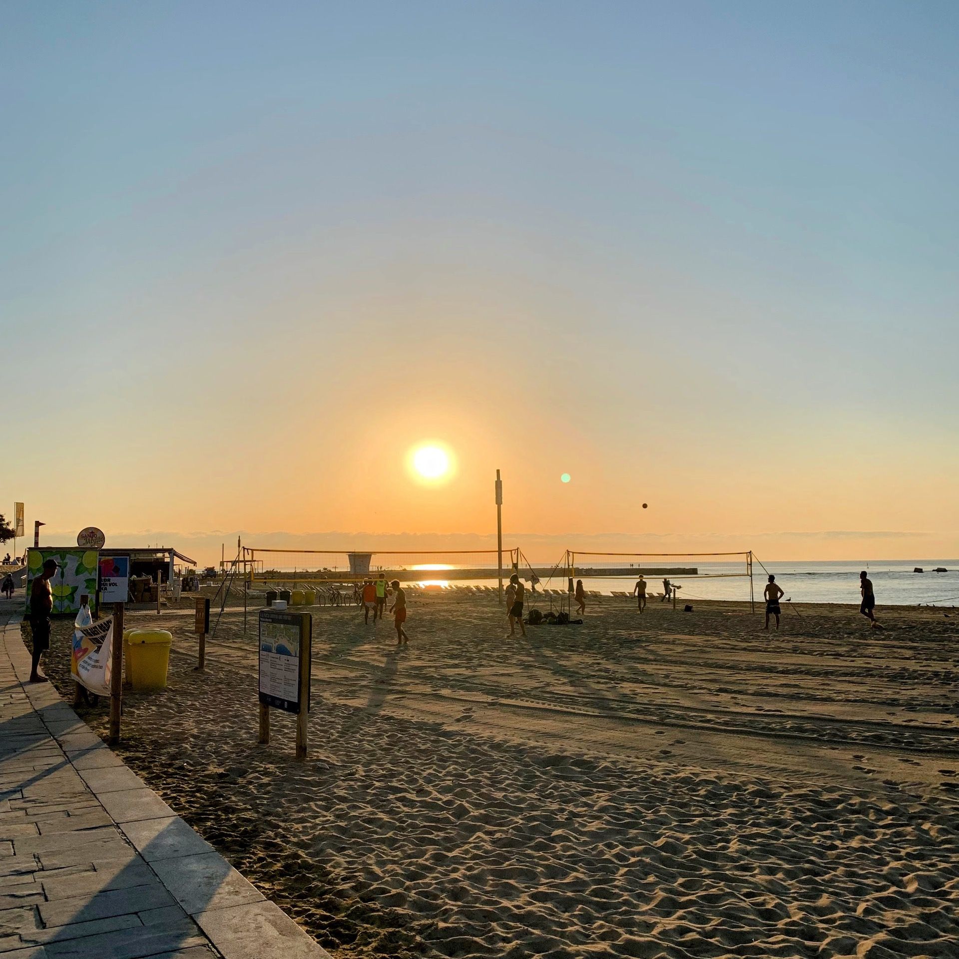 Immagine in evidenza