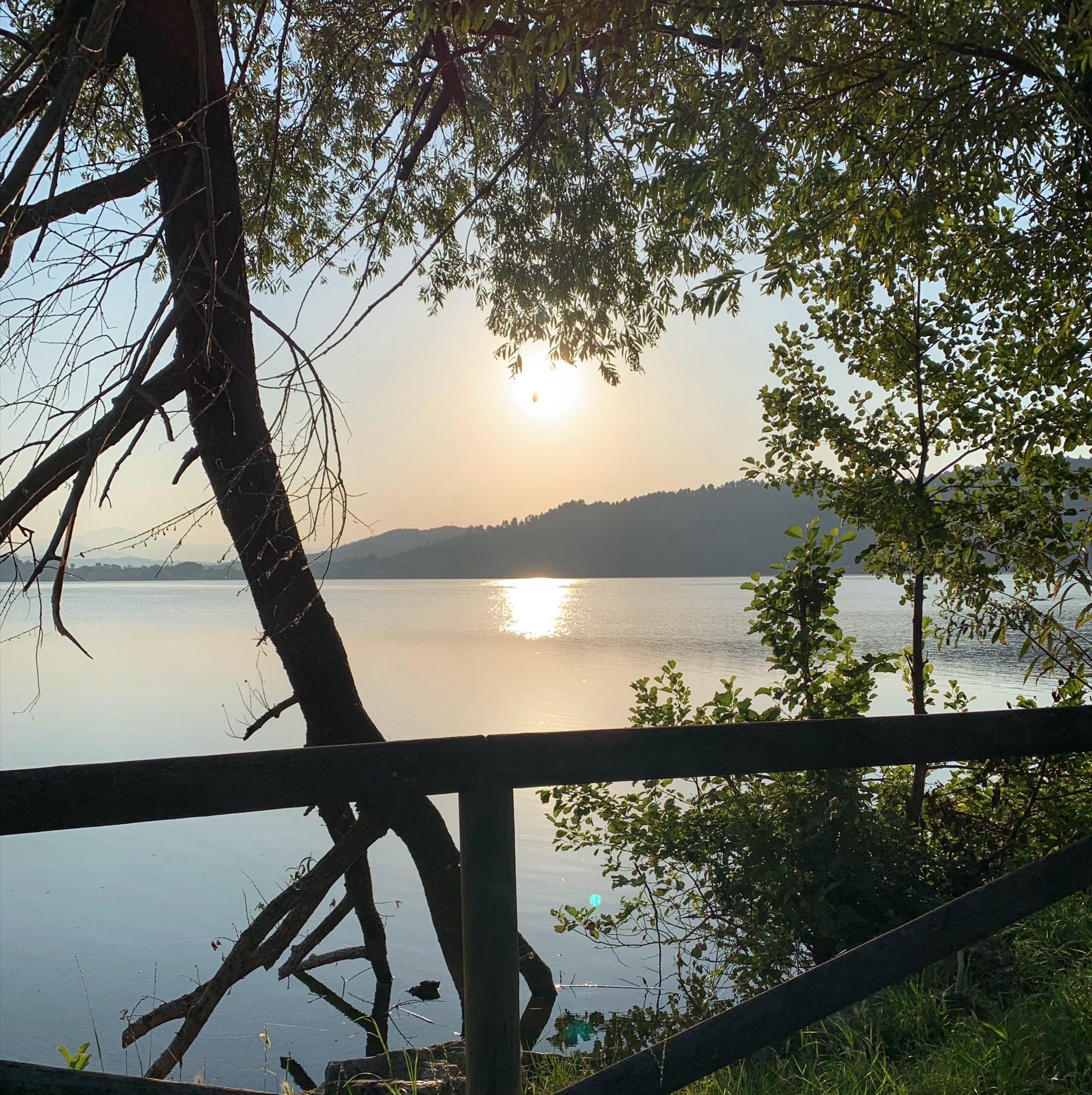 Immagine in evidenza