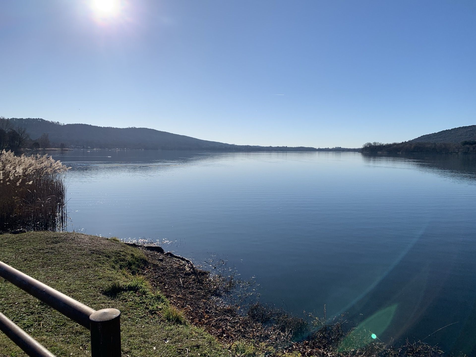 Immagine in evidenza