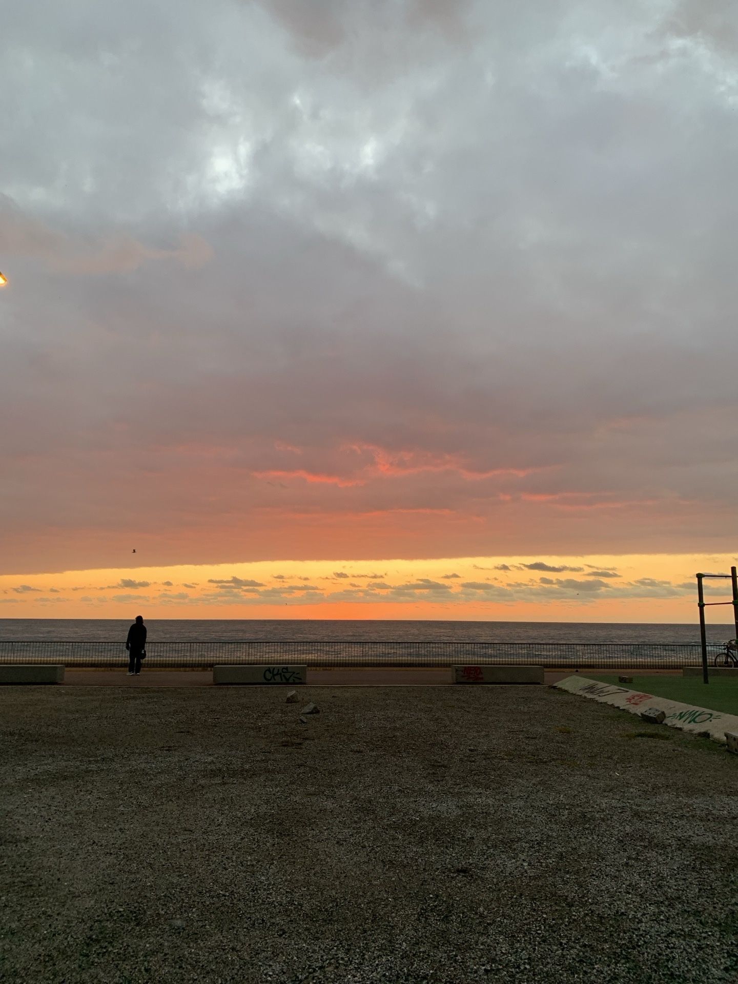 Immagine in evidenza