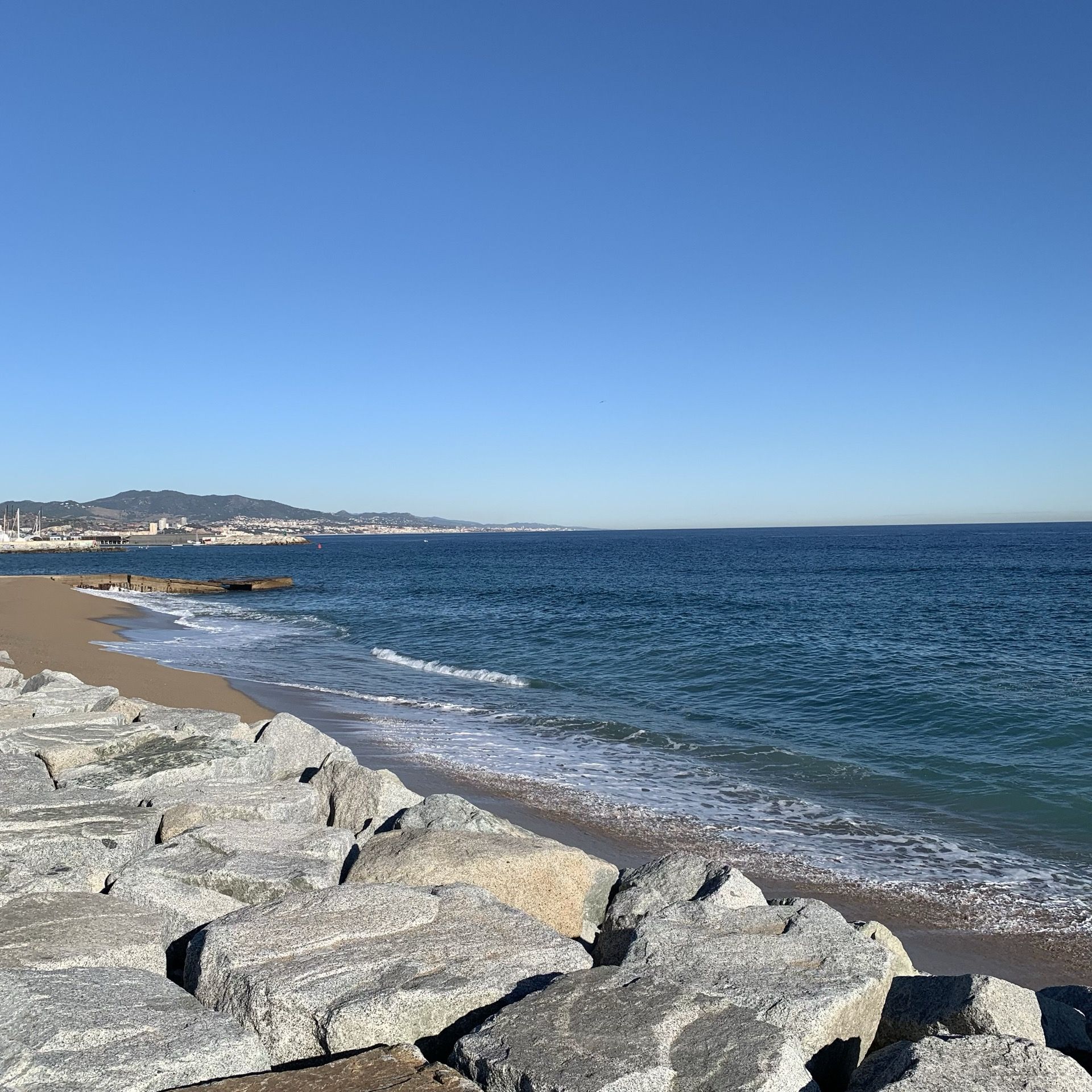 Immagine in evidenza