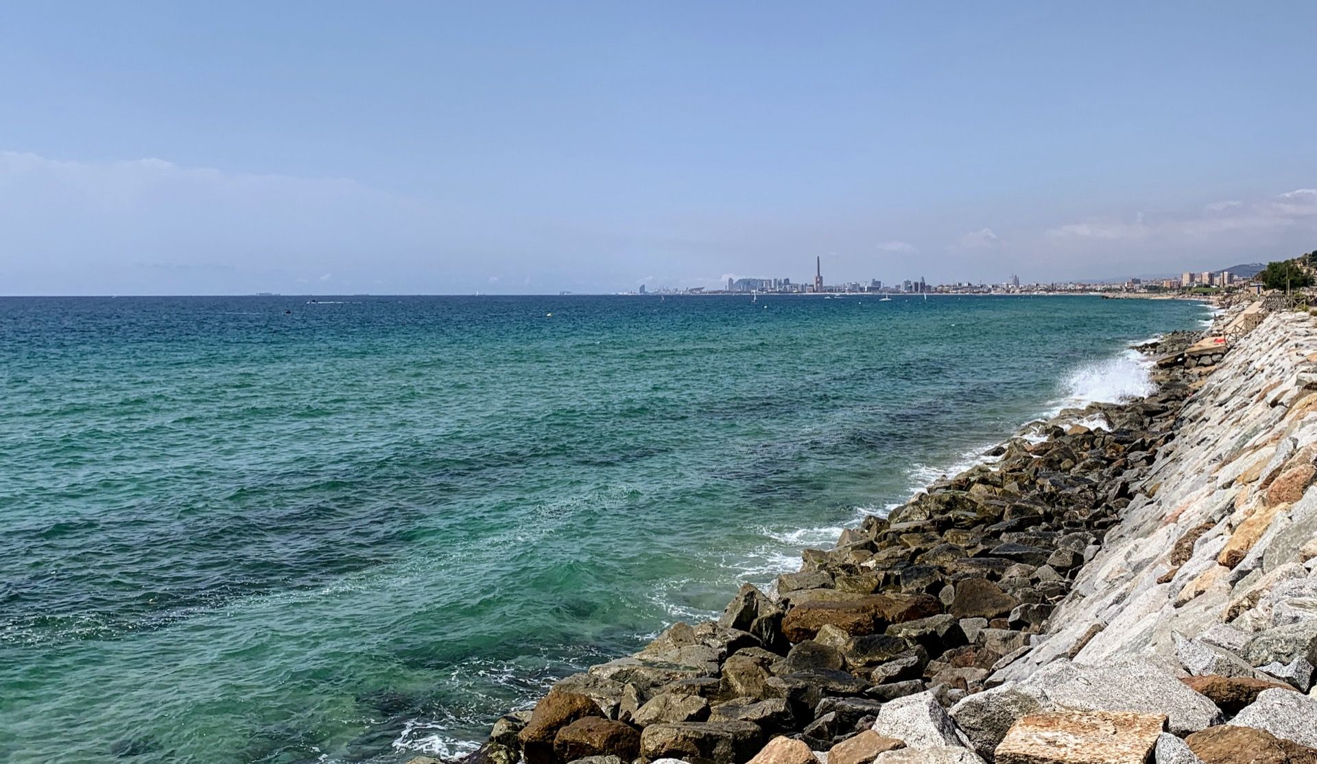 Immagine in evidenza