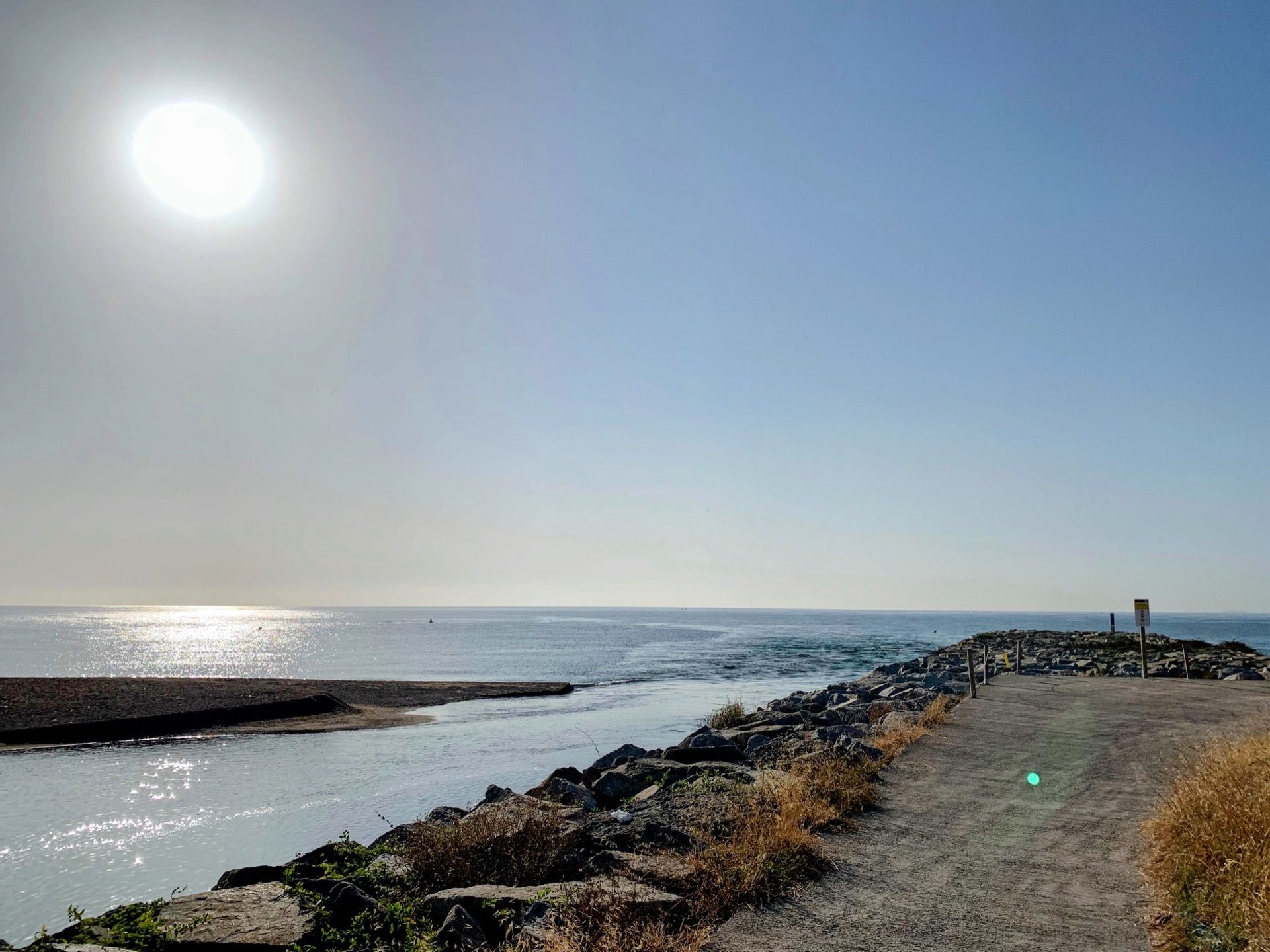 Immagine in evidenza