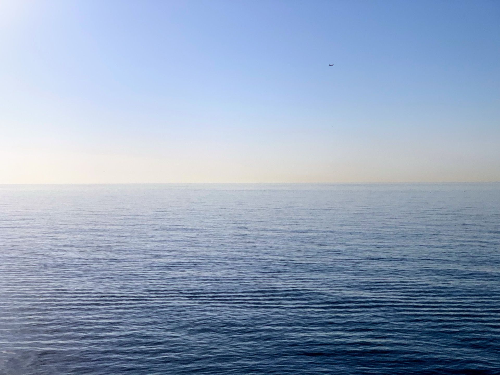 Immagine in evidenza