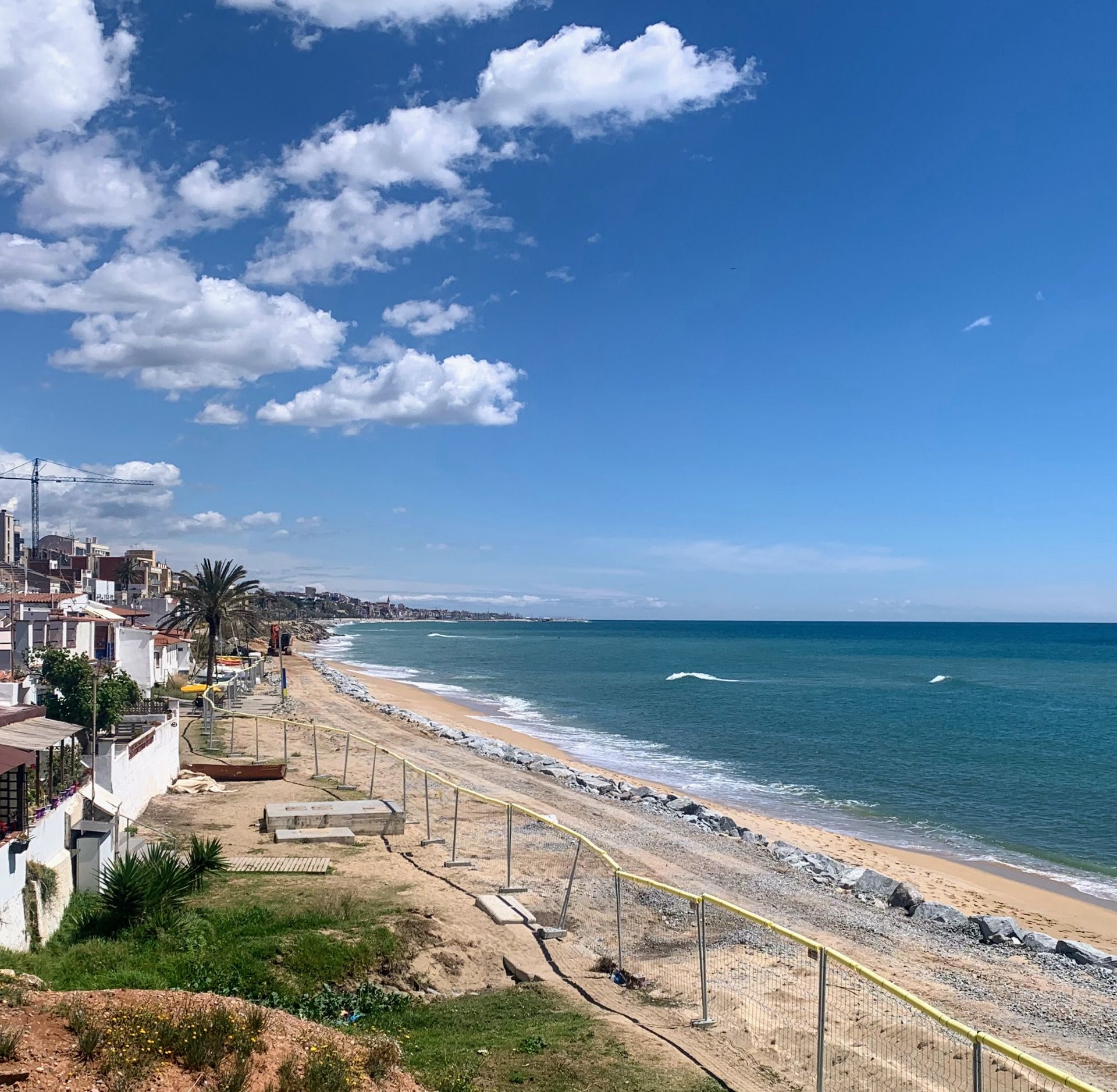 Immagine in evidenza