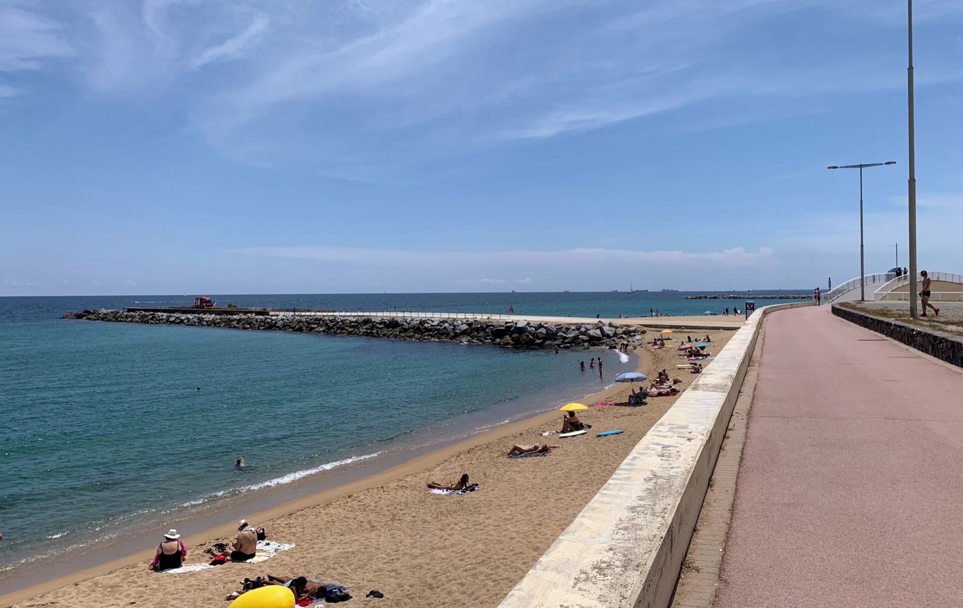 Immagine in evidenza