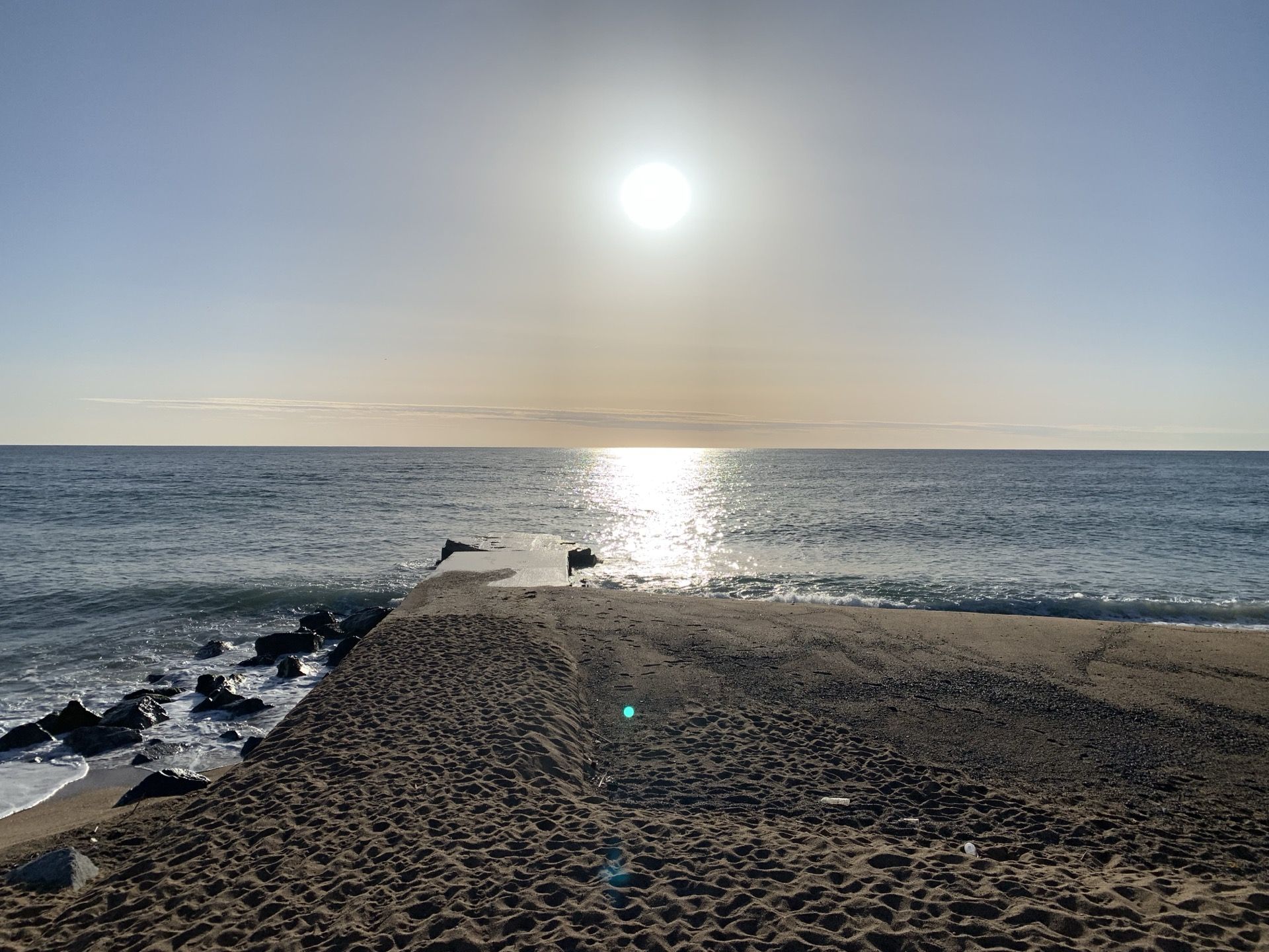 Immagine in evidenza