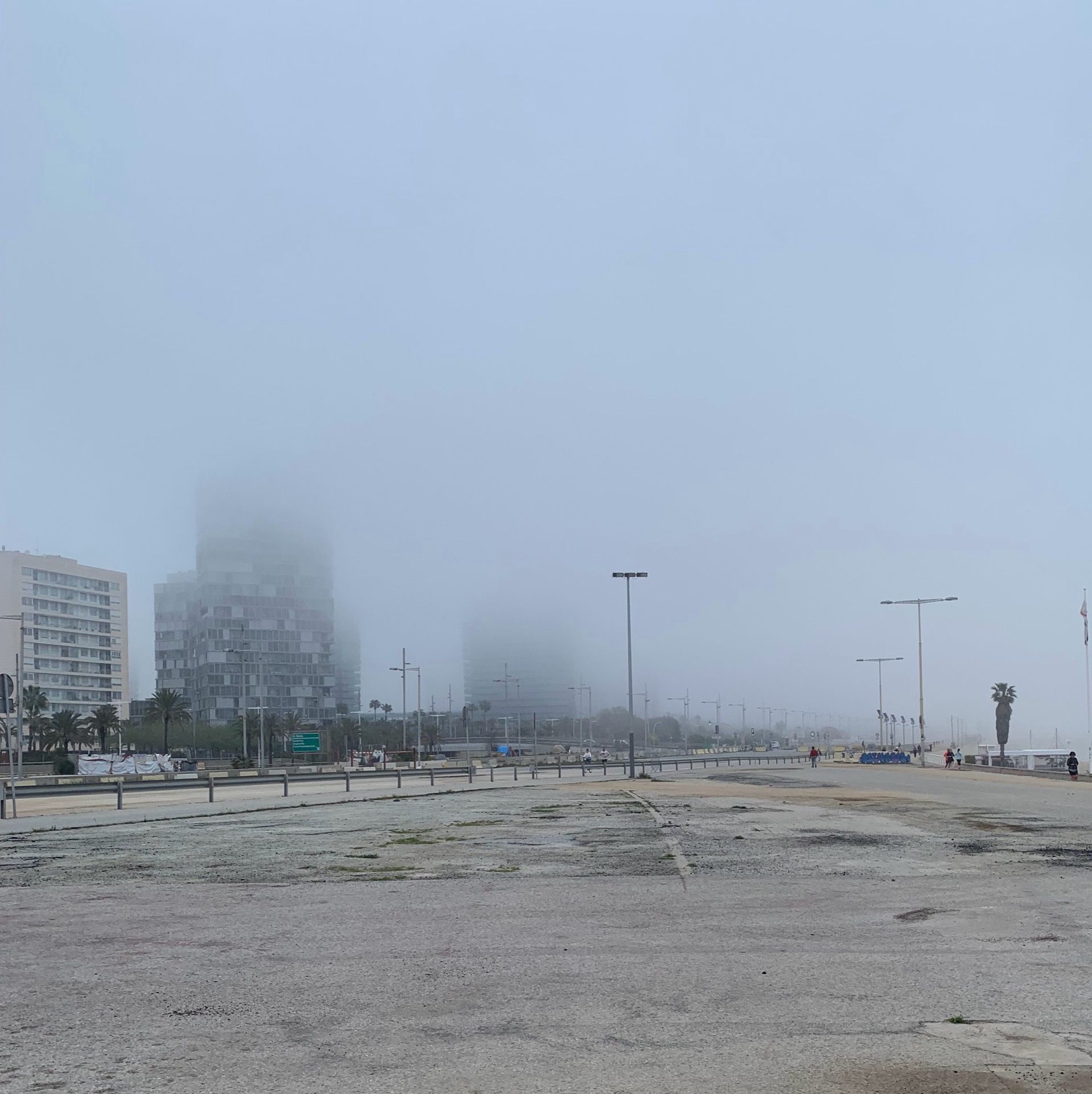 Immagine in evidenza