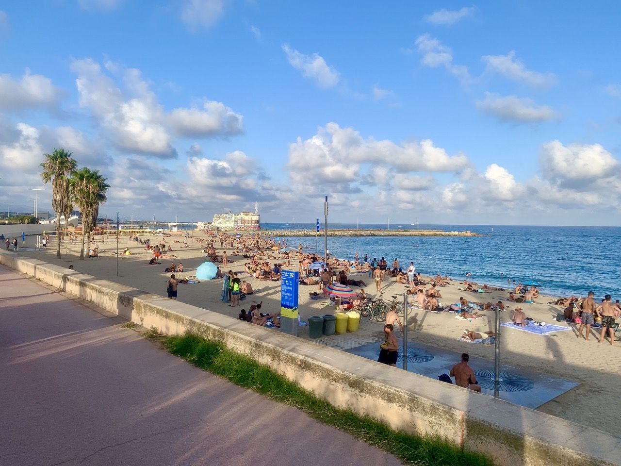 Immagine in evidenza