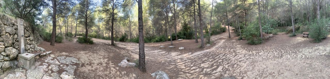 Immagine in evidenza