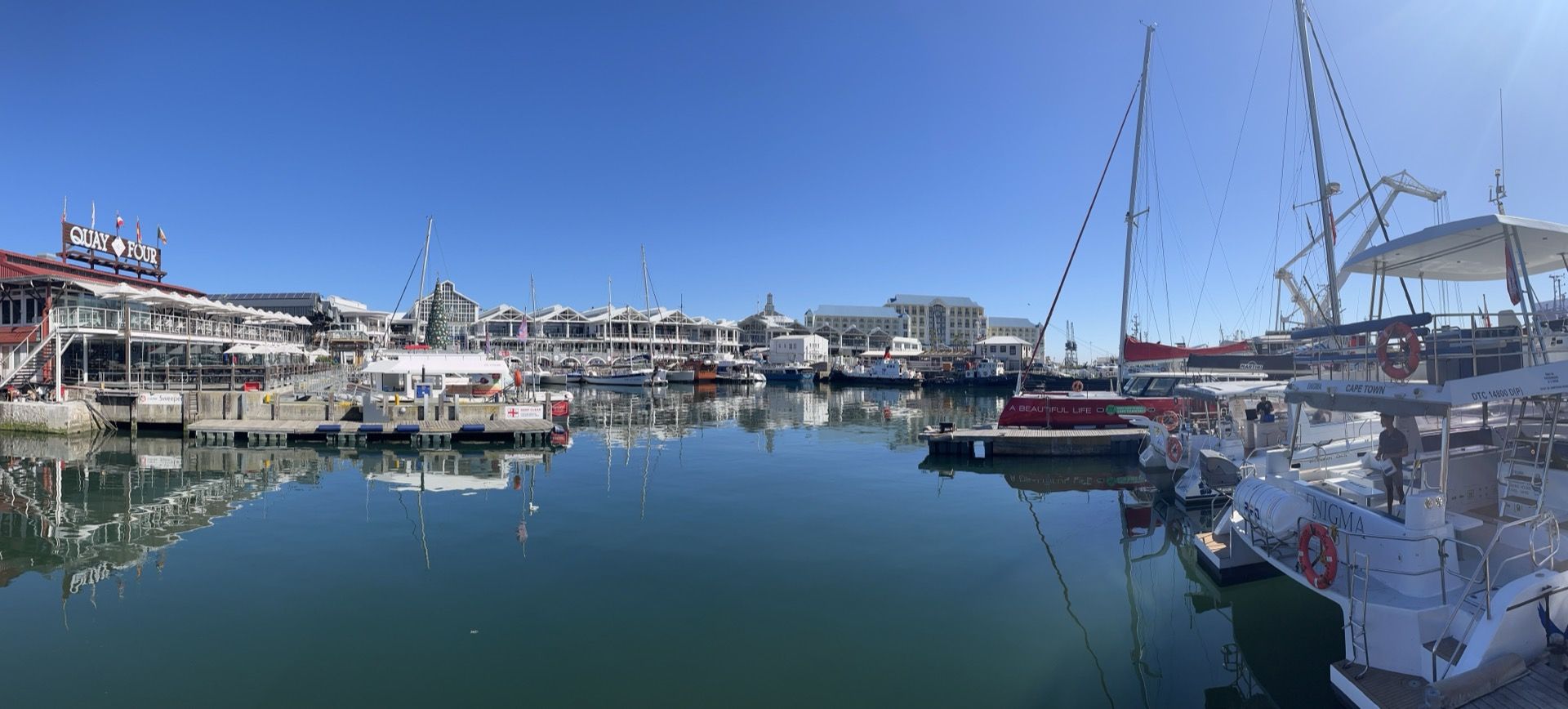 Immagine in evidenza