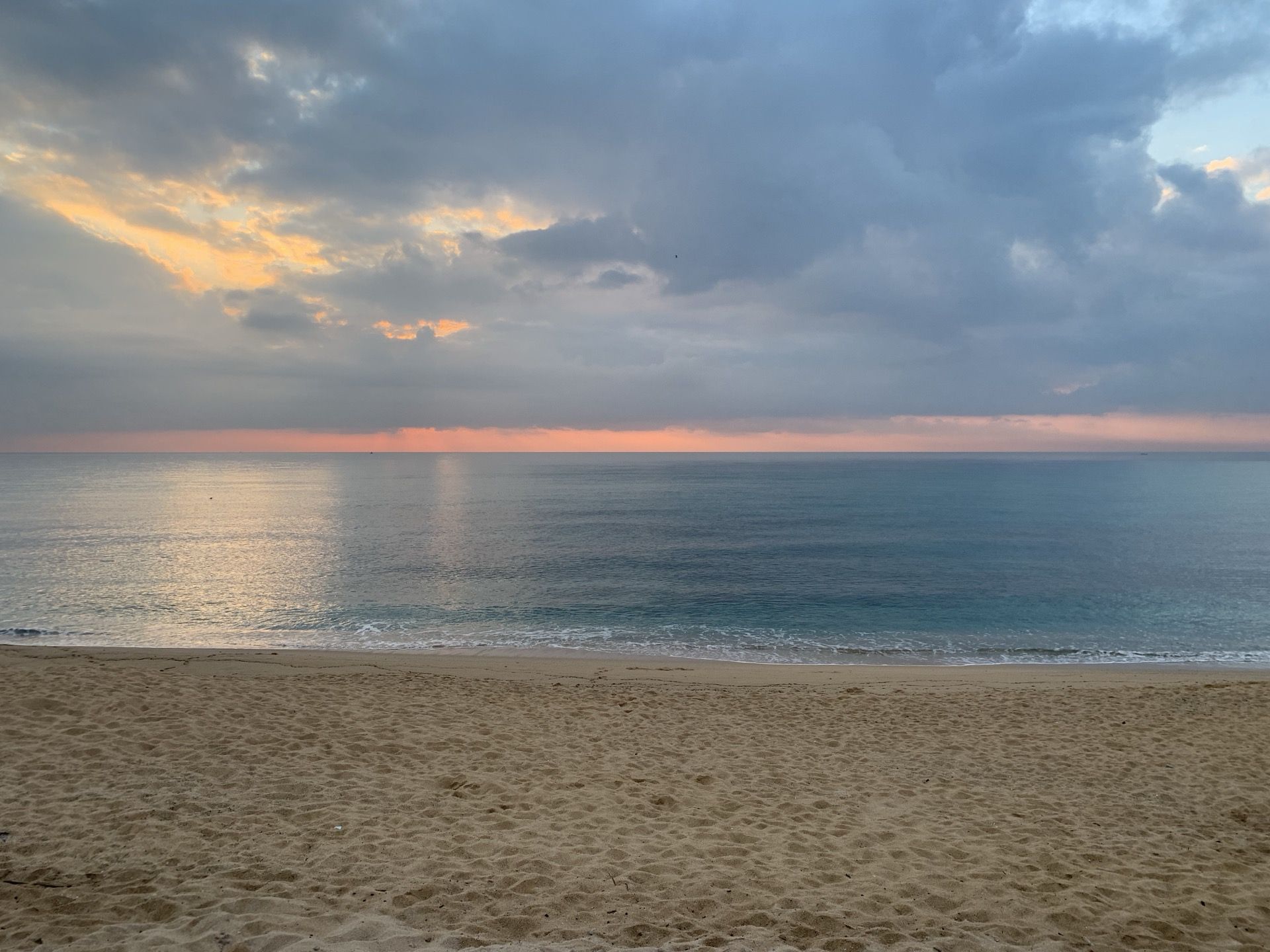 Immagine in evidenza