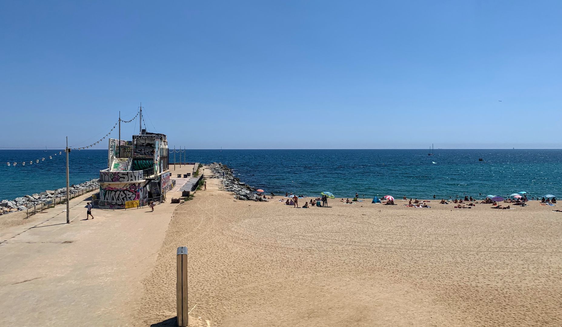 Immagine in evidenza