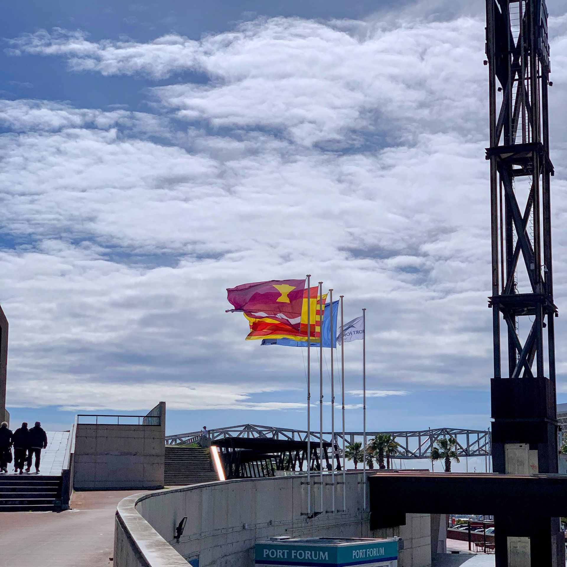 Immagine in evidenza