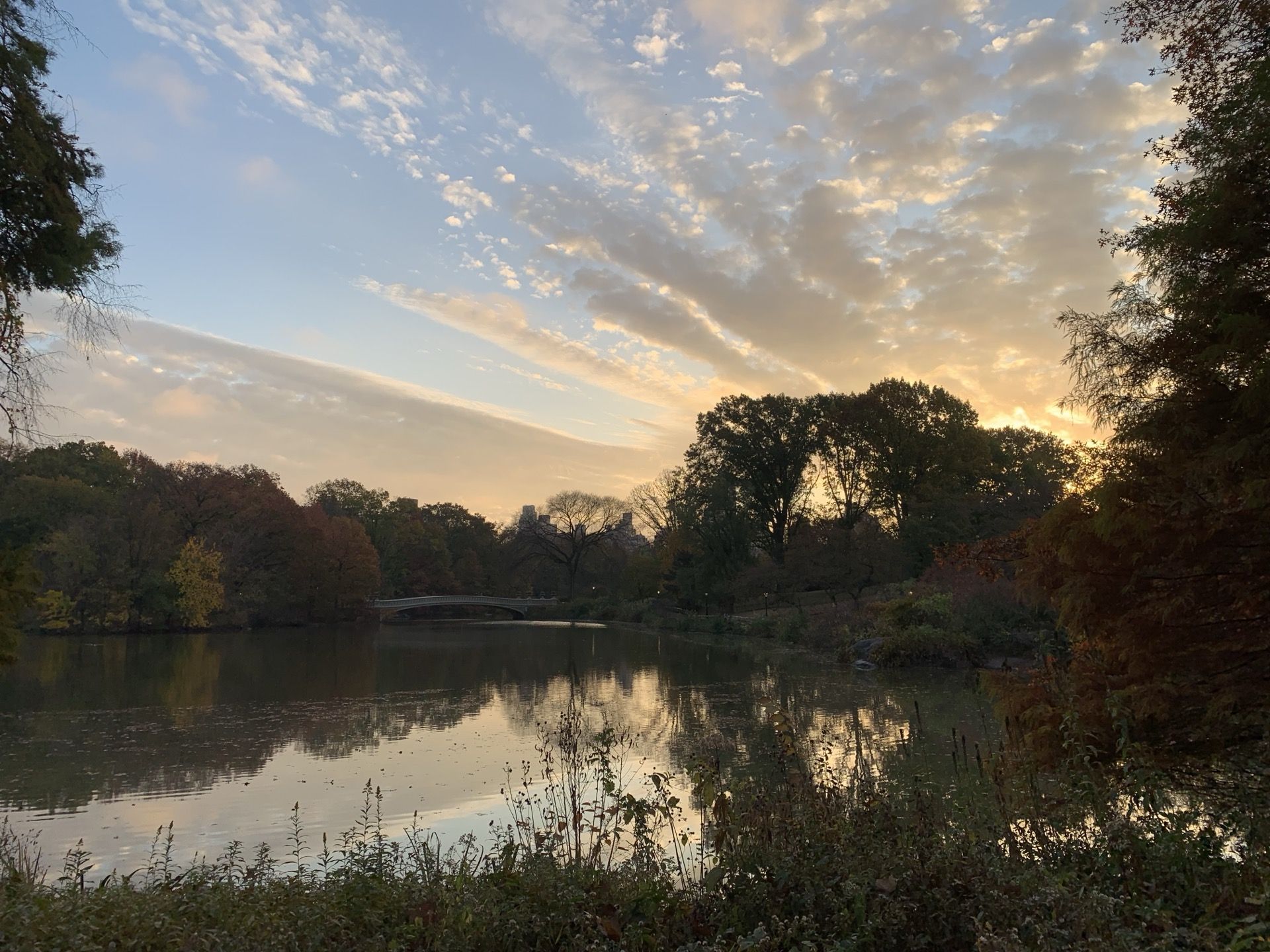 Immagine in evidenza