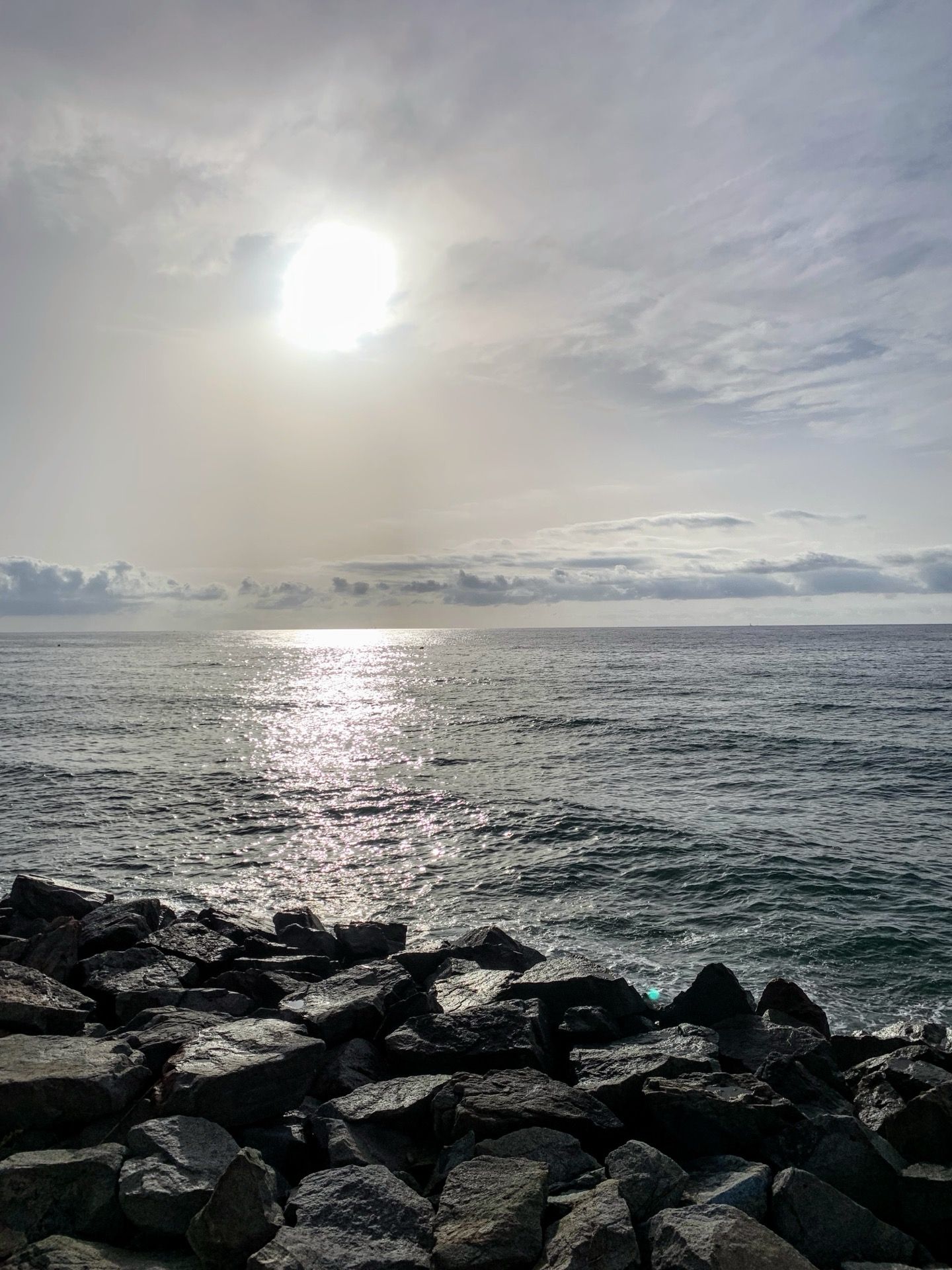 Immagine in evidenza