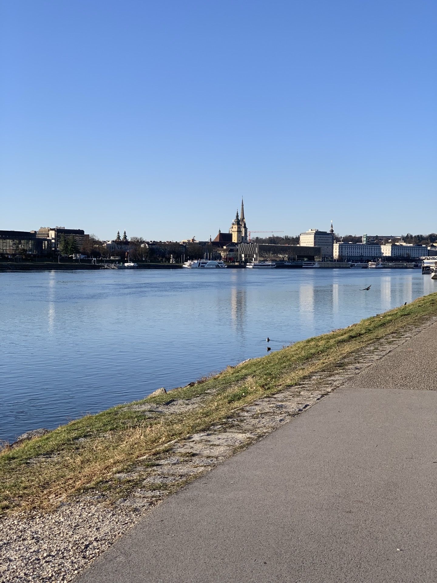 Immagine in evidenza