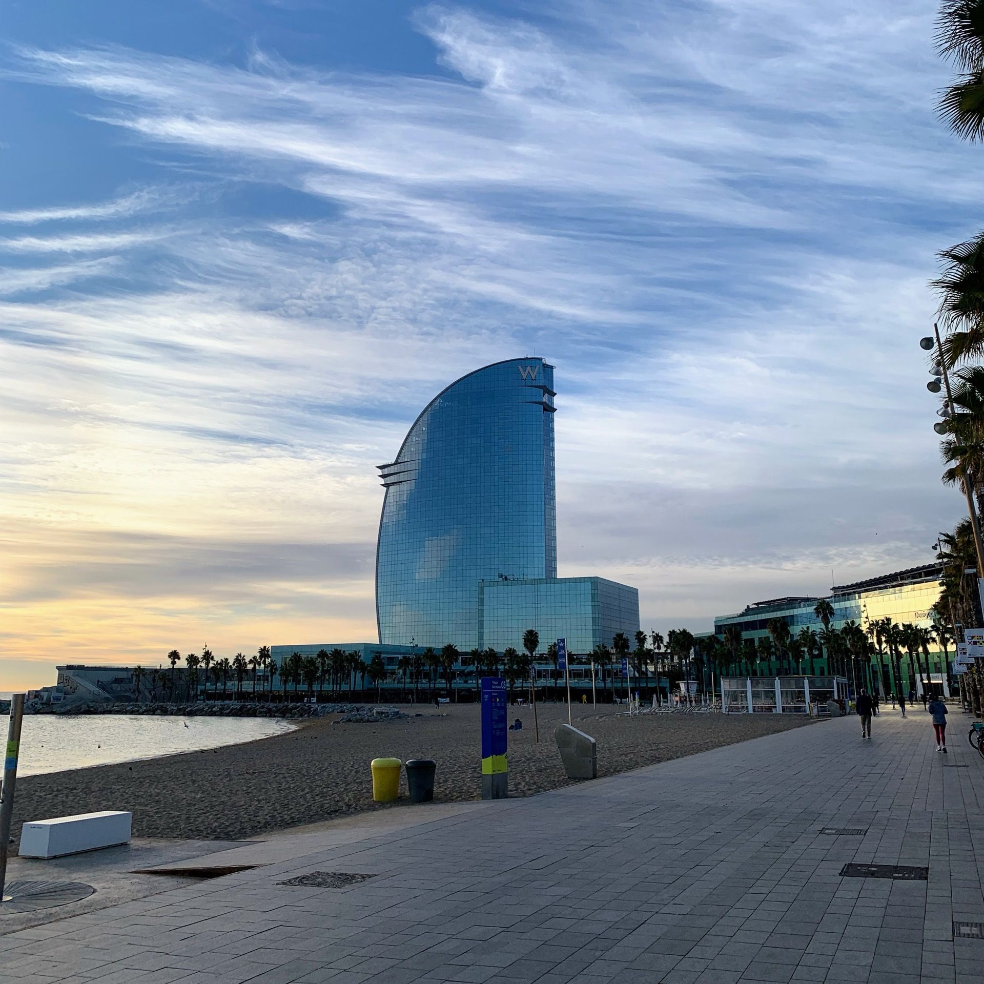 Immagine in evidenza