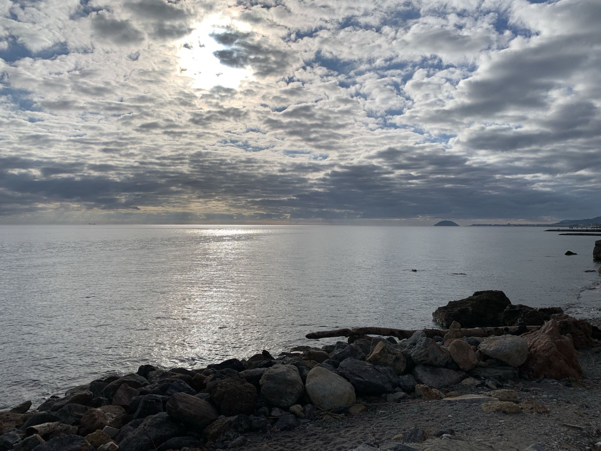 Immagine in evidenza