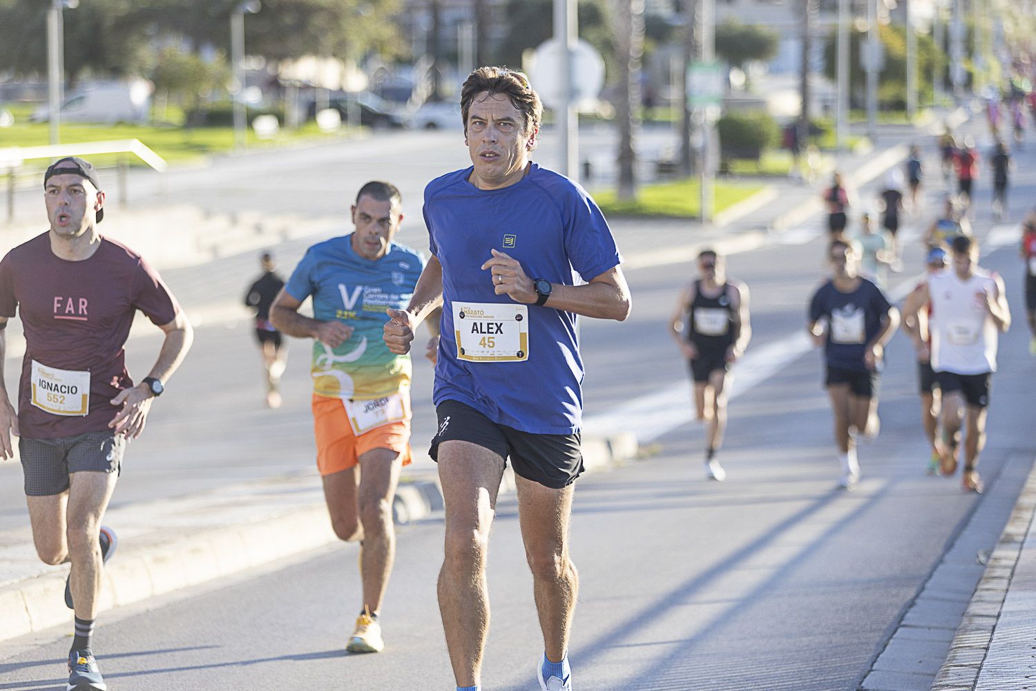 Immagine in evidenza