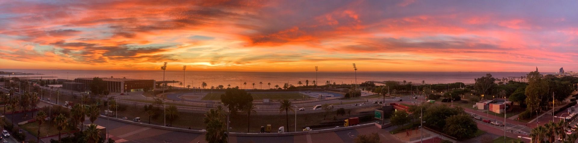 Immagine in evidenza