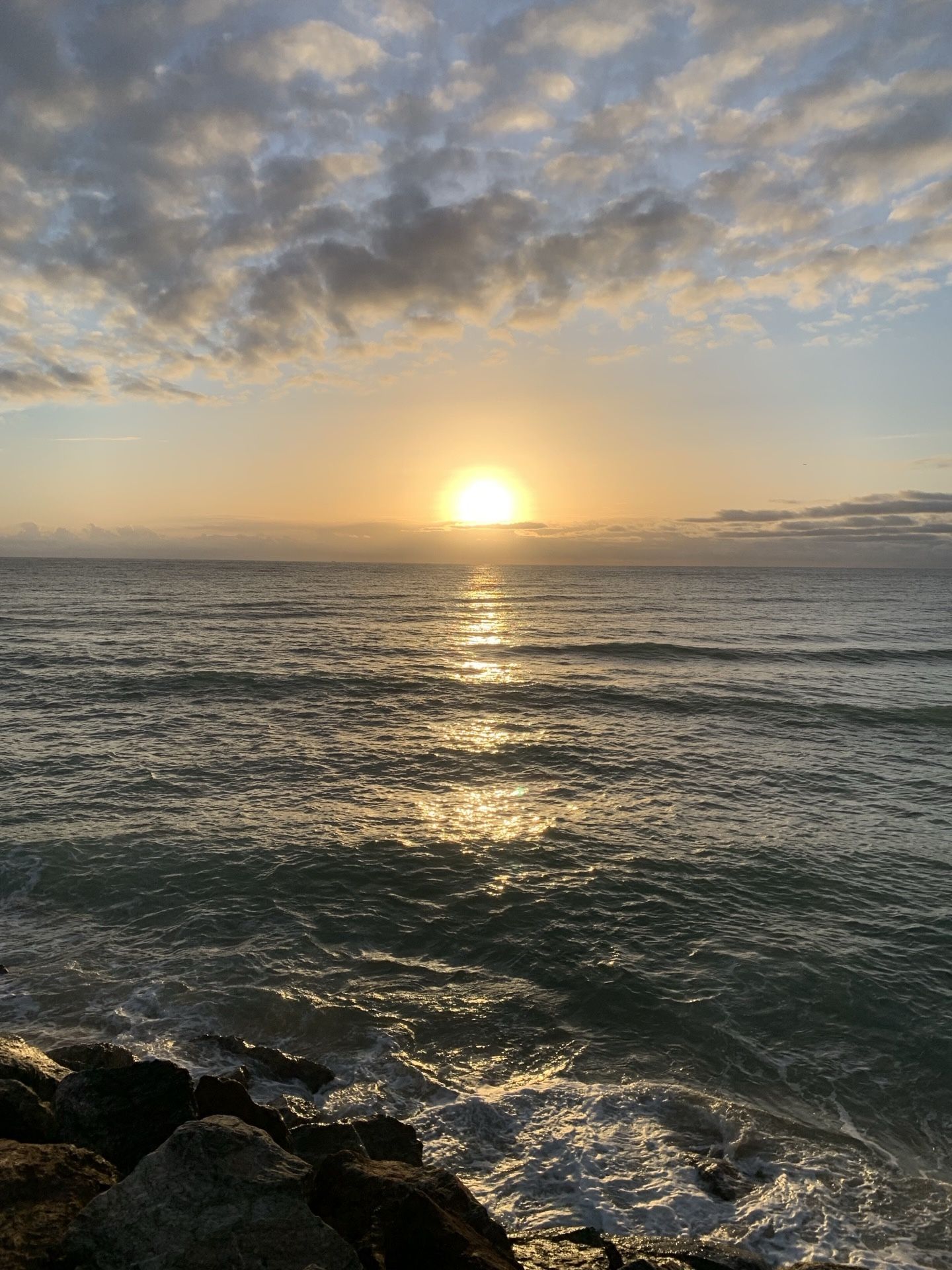 Immagine in evidenza