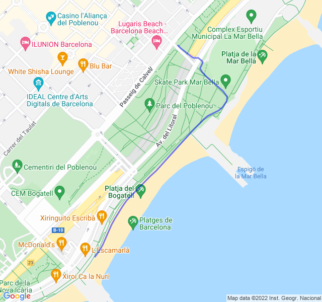 Immagine in evidenza