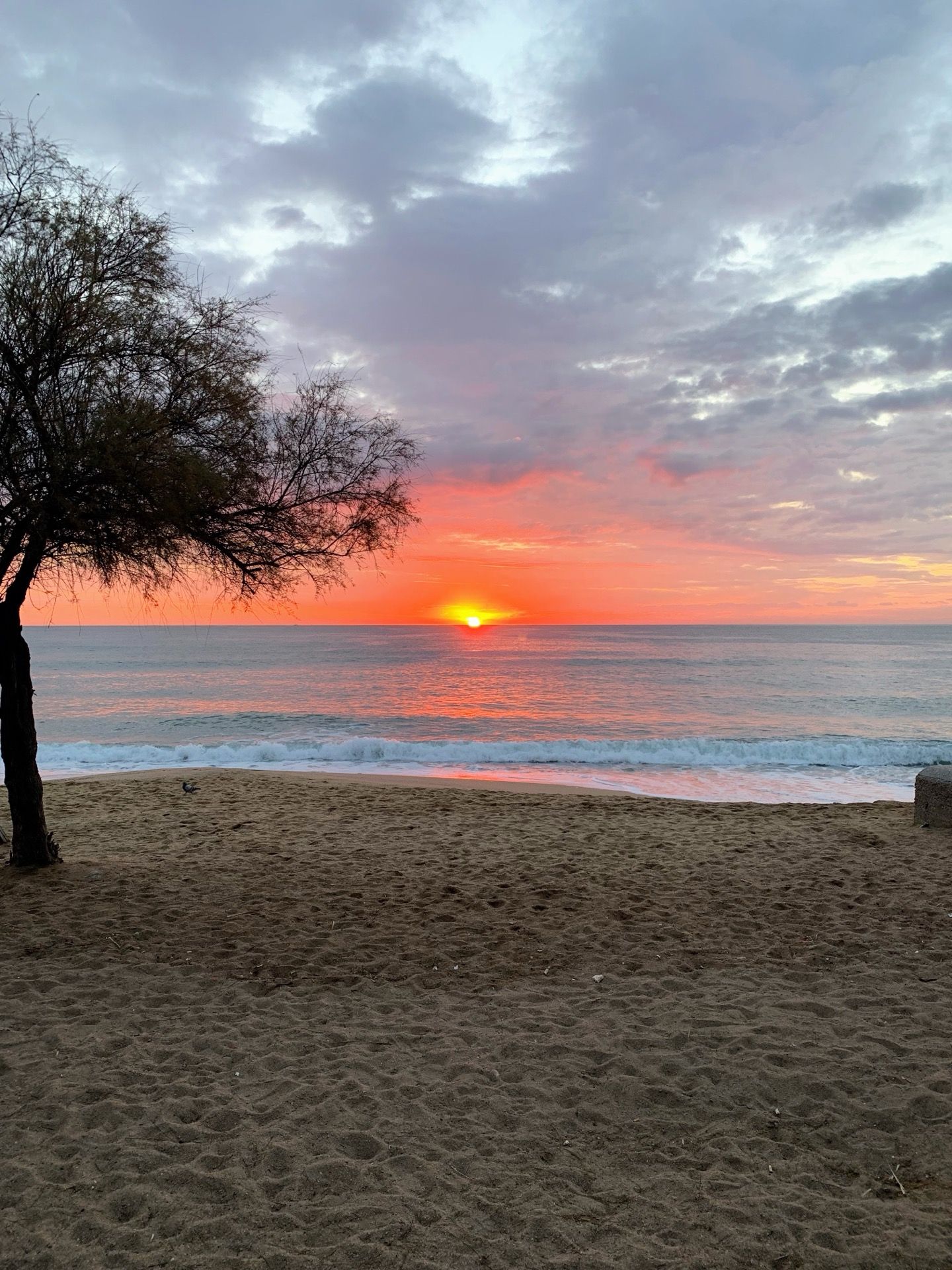 Immagine in evidenza