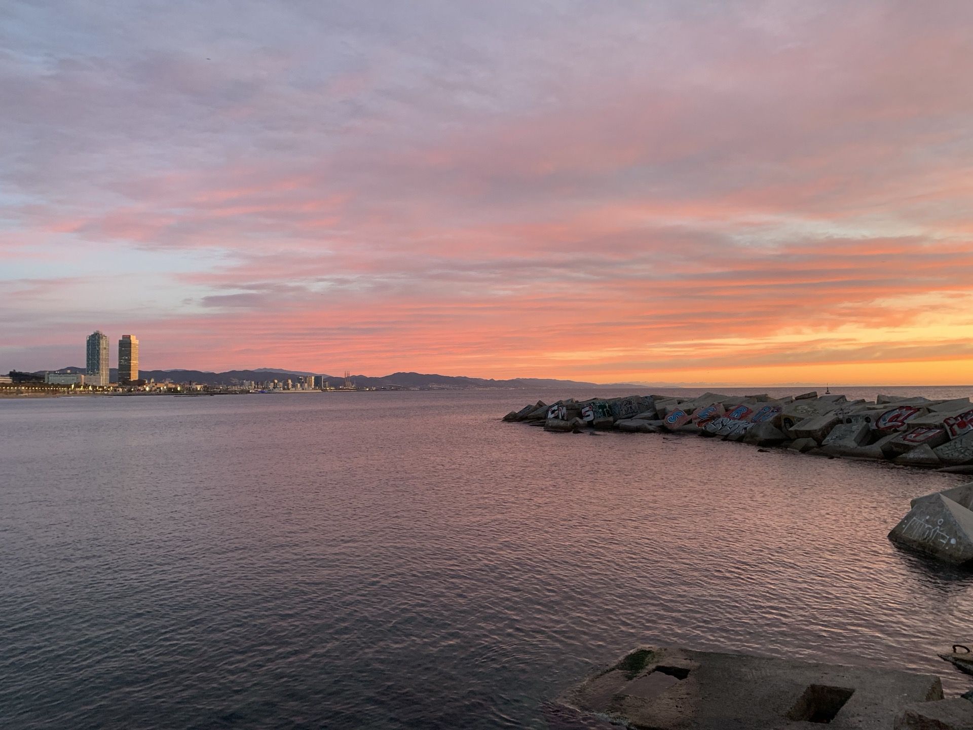 Immagine in evidenza