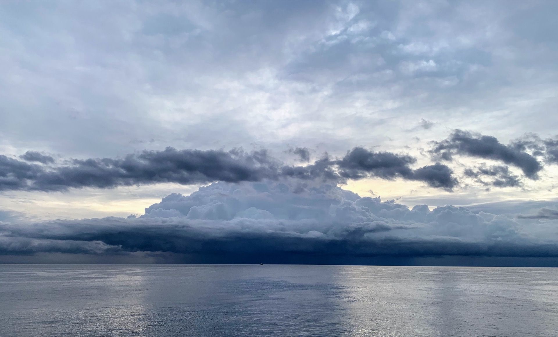 Immagine in evidenza