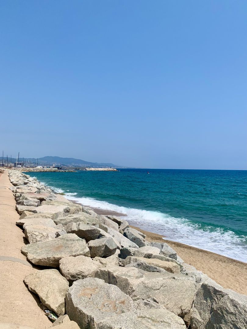 Immagine in evidenza