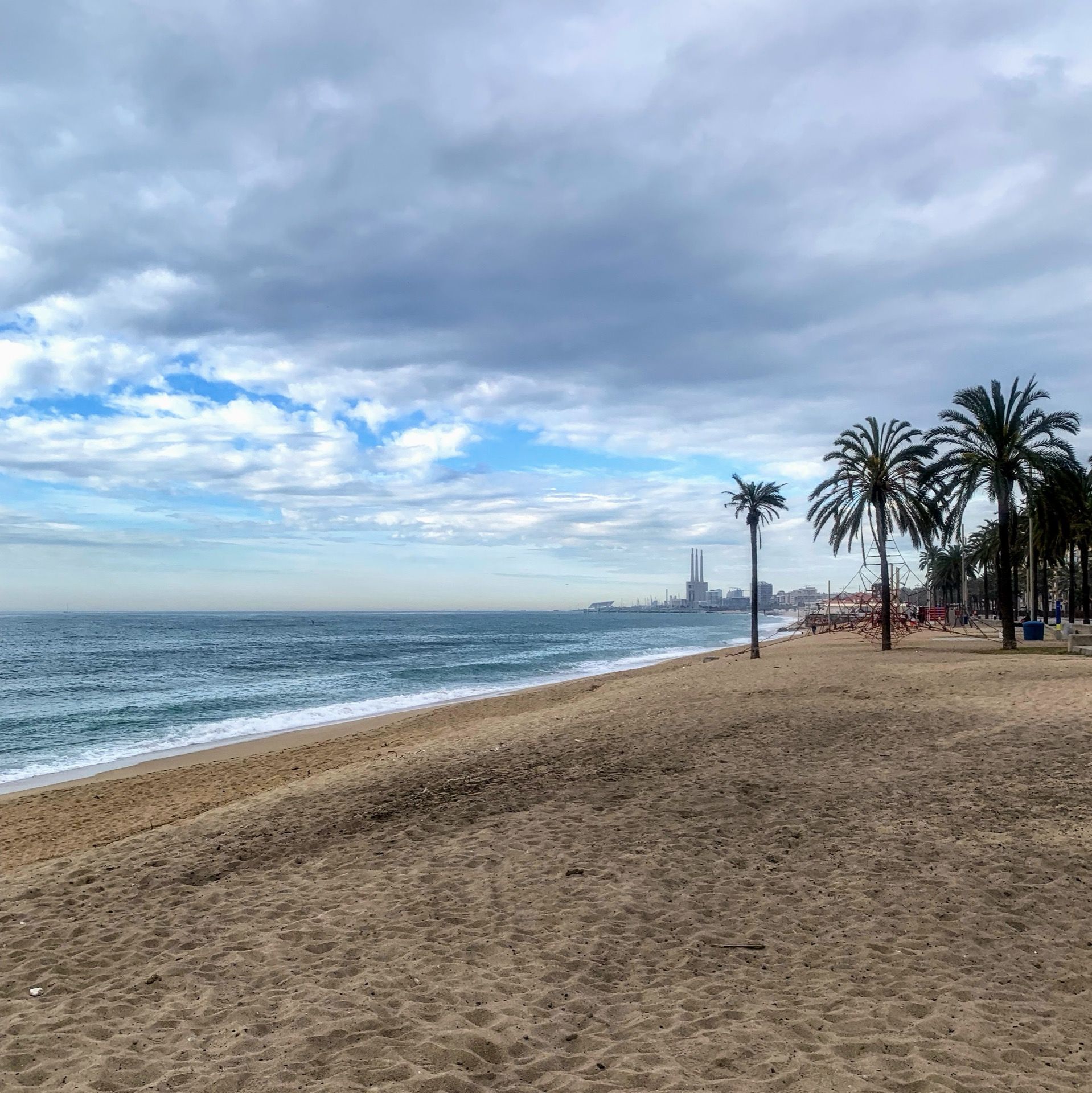 Immagine in evidenza