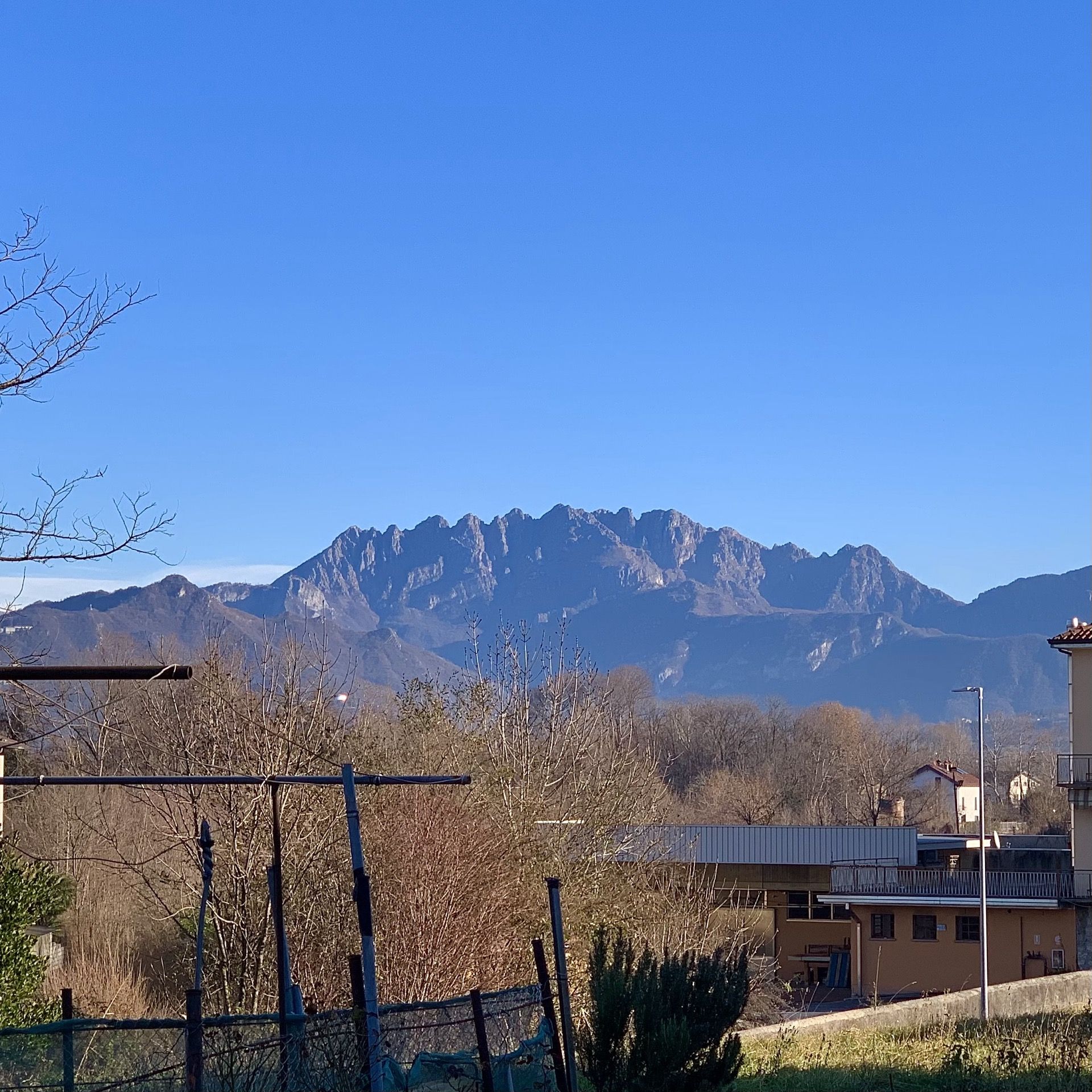 Immagine in evidenza