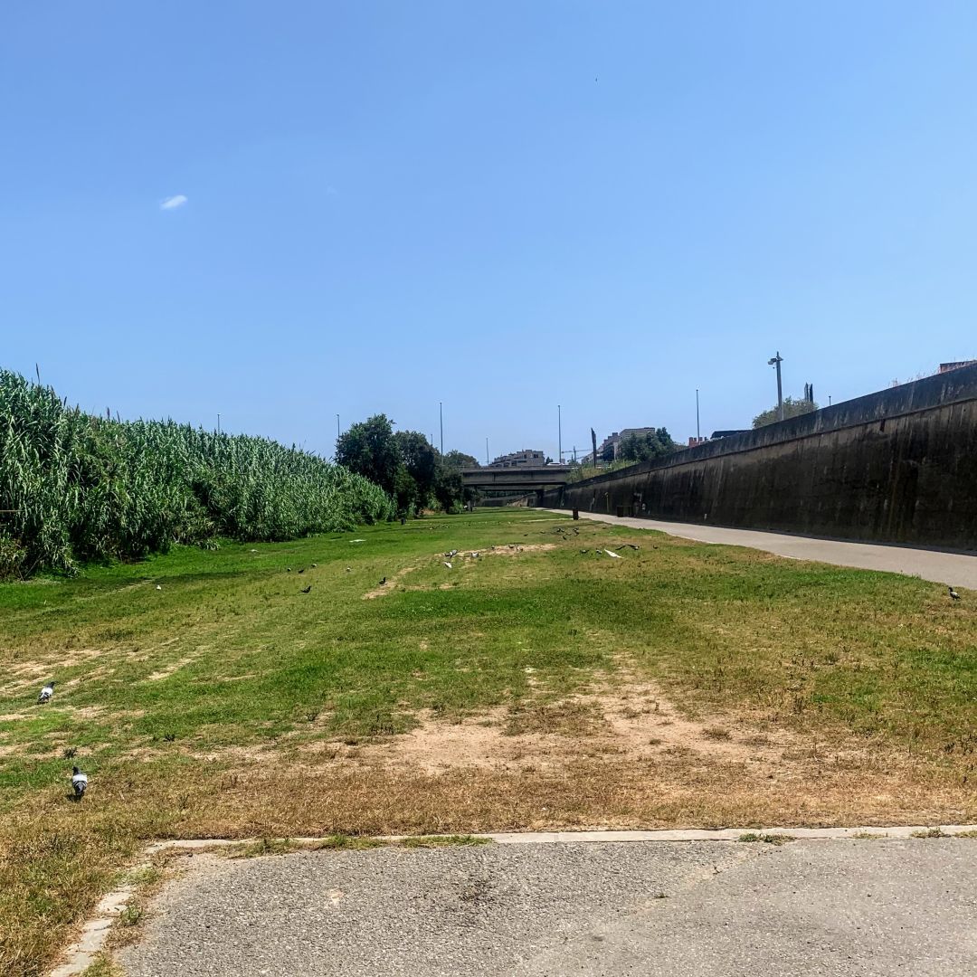 Immagine in evidenza