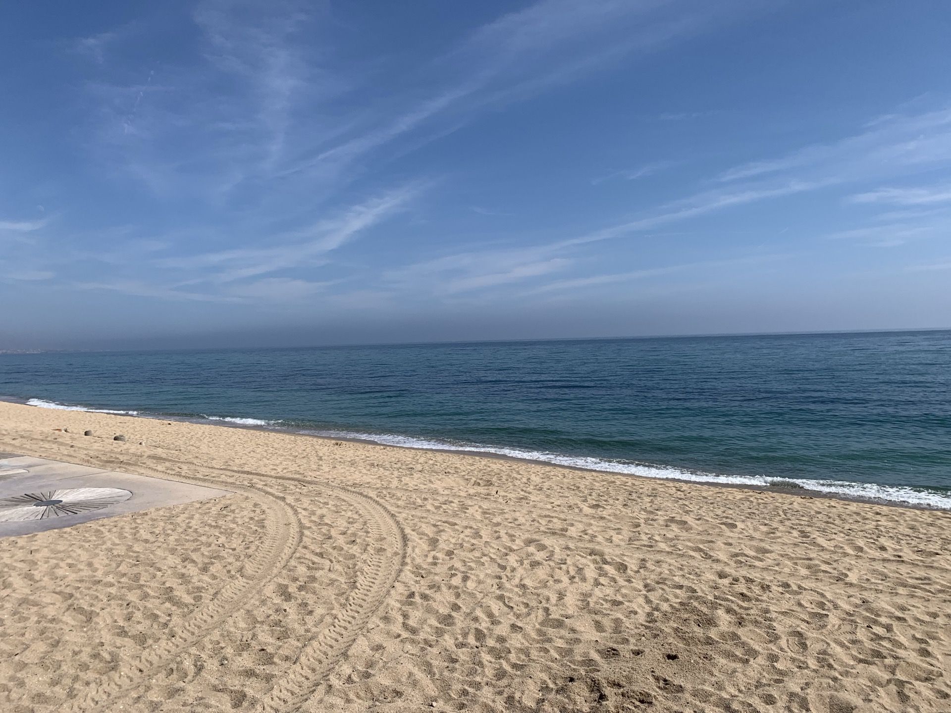 Immagine in evidenza