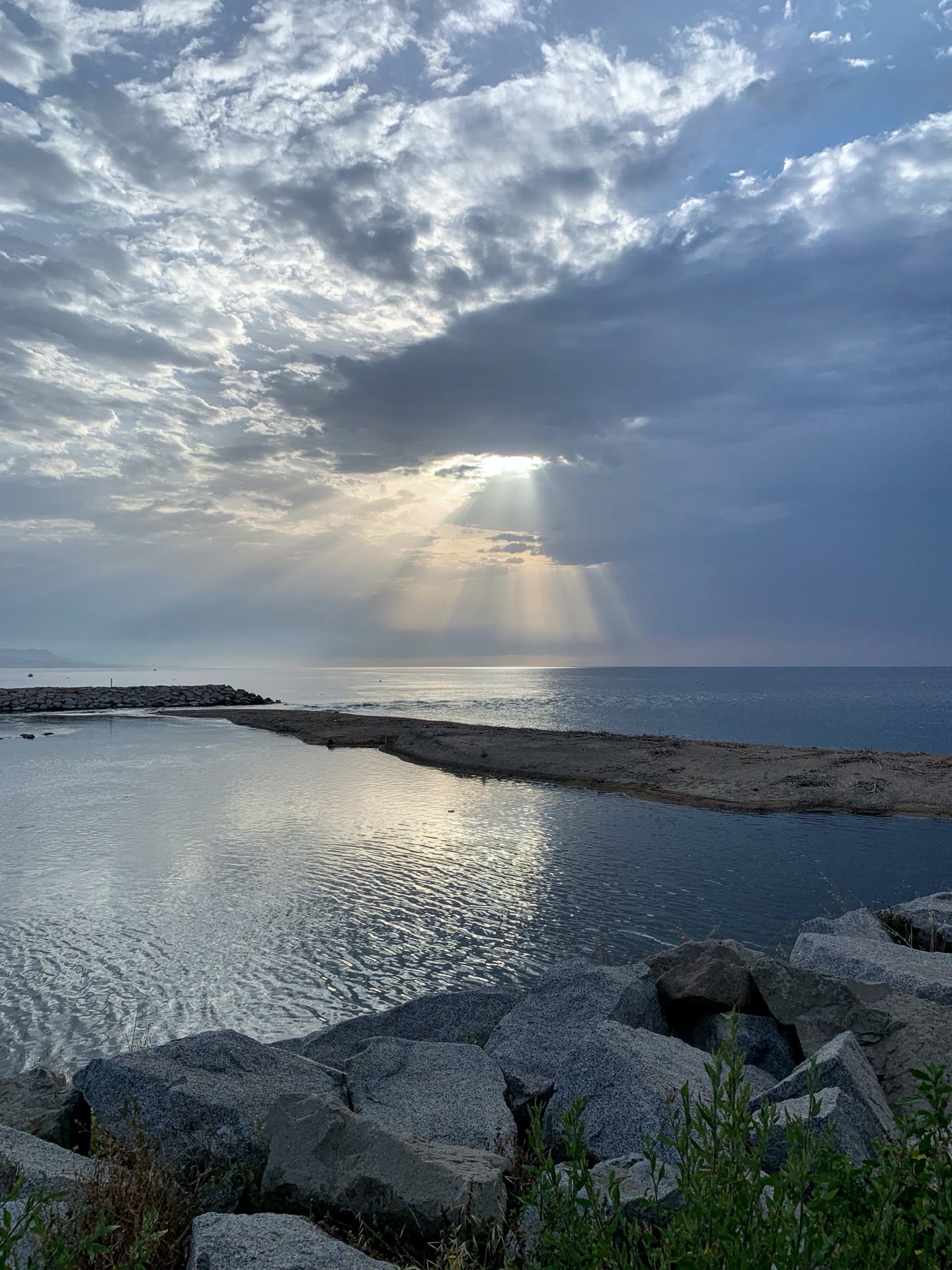 Immagine in evidenza