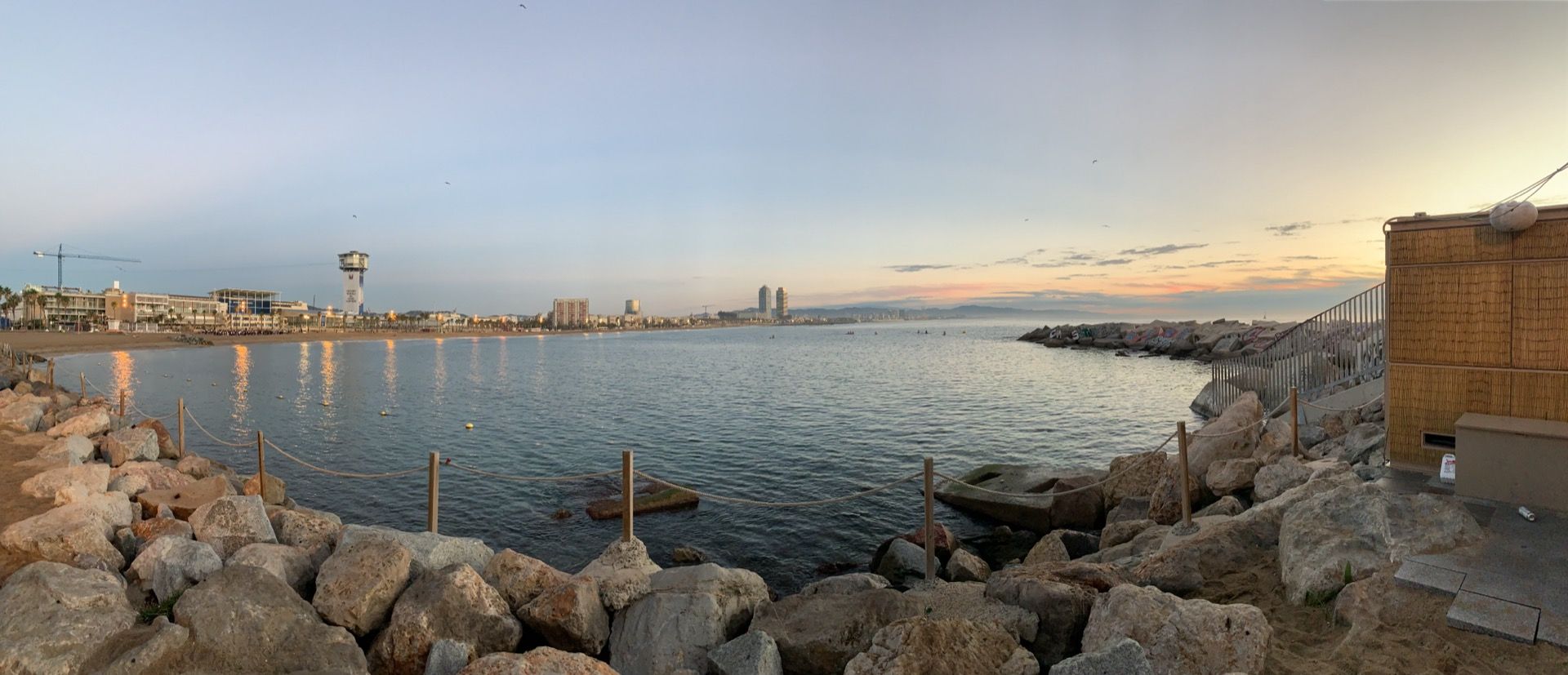 Immagine in evidenza