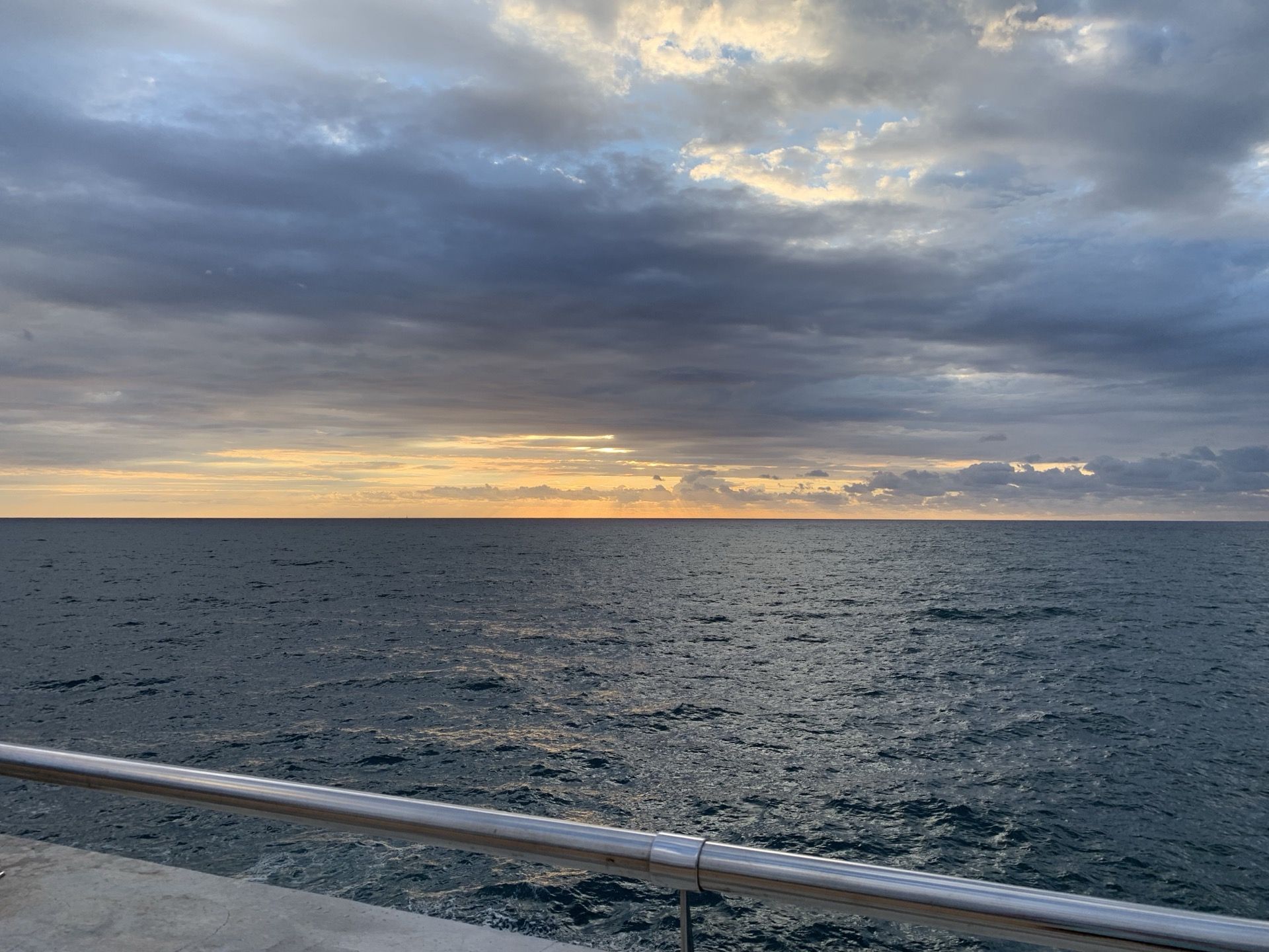 Immagine in evidenza